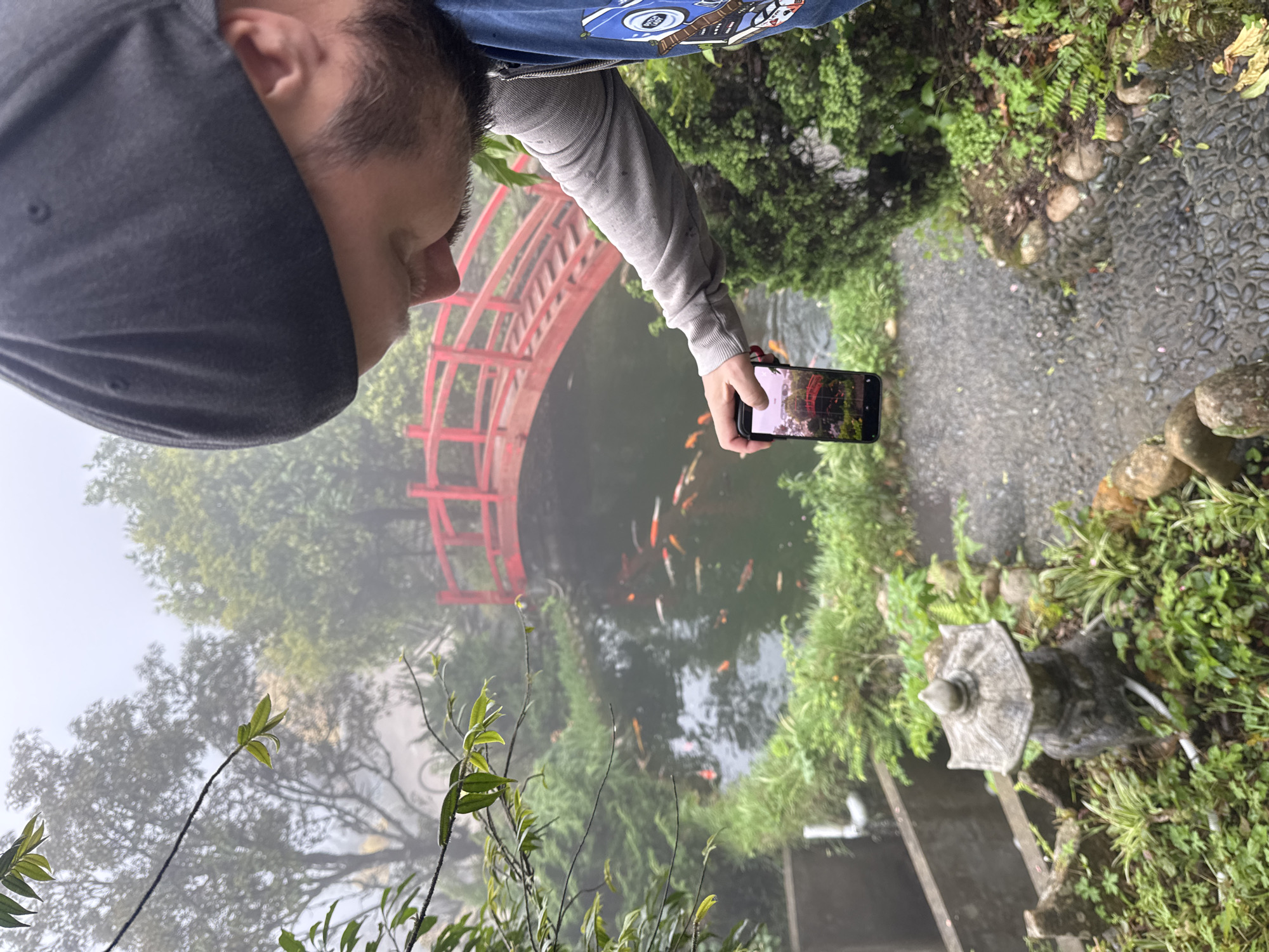 A man in a gray baseball cap and gray long-sleeved shirt is holding a phone, seemingly taking a picture of a pond with red-orange koi fish. The pond is framed by a red arched bridge, greenery, and a stone lantern. The scene appears to be in a garden or park. The location is Binh Lu, Vietnam.