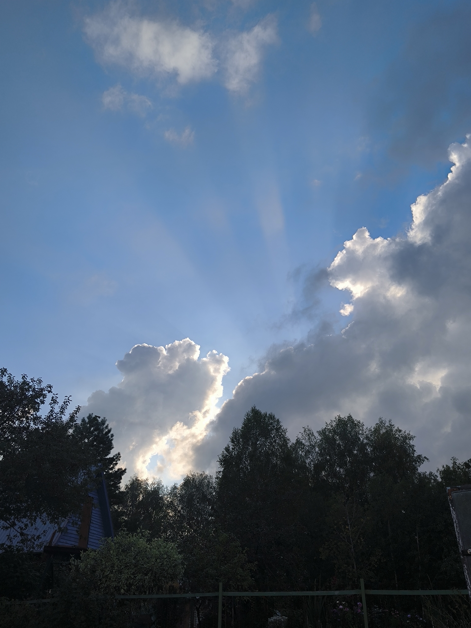 The image depicts a sky with dramatic clouds and sunbeams filtering through, seen from ground level. The foreground is dominated by a line of dark trees, obscuring most of the ground and any potential structures or activity. To the left, a portion of a blue-roofed building is visible, partially covered by foliage. The lighting suggests either early morning or late afternoon. The scene is set in Maiskii, Russia.