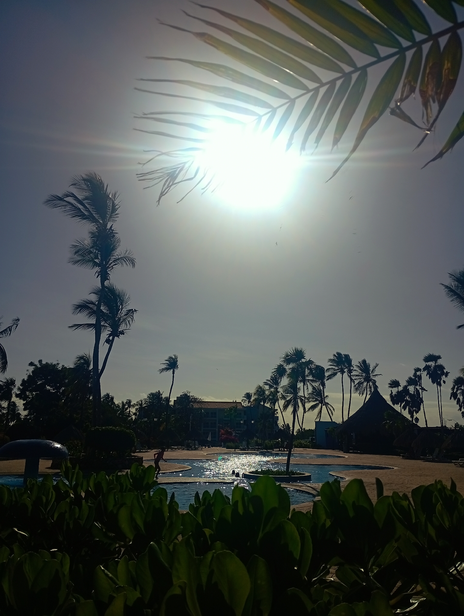 The image depicts a sunny scene in Playa El Agua, Venezuela. A bright sun is high in the sky, partially obscured by palm leaves in the upper right corner. Several palm trees are scattered across the landscape, silhouetted against the bright sky. In the foreground, lush green vegetation partially obscures a swimming pool with shimmering water. A person can be seen near the pool. A thatched-roof structure is visible in the background. The overall impression is one of a tropical resort or beach setting.