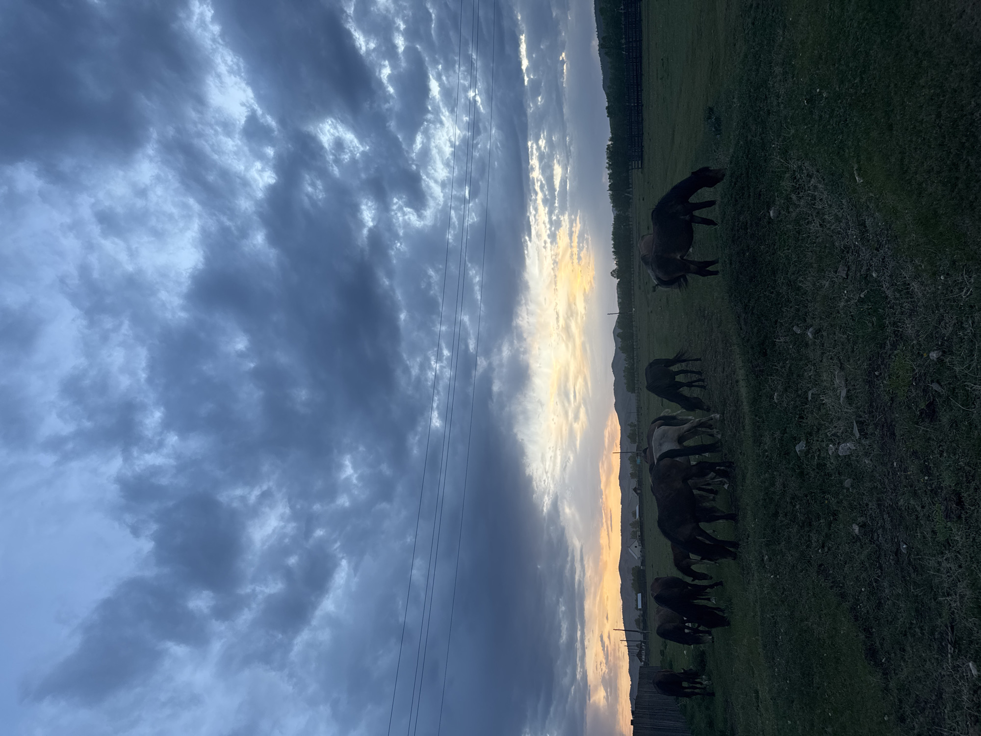 The image shows a landscape at sunset in or near Нижний Бургалтай, Russia. Dark, storm-like clouds fill much of the sky on the left, contrasted by a bright, orange-tinged sunset horizon. In the foreground, a field of green grass contains a herd of horses grazing. A wooden fence and utility poles are visible at the bottom of the frame, suggesting the edge of a village or agricultural area.