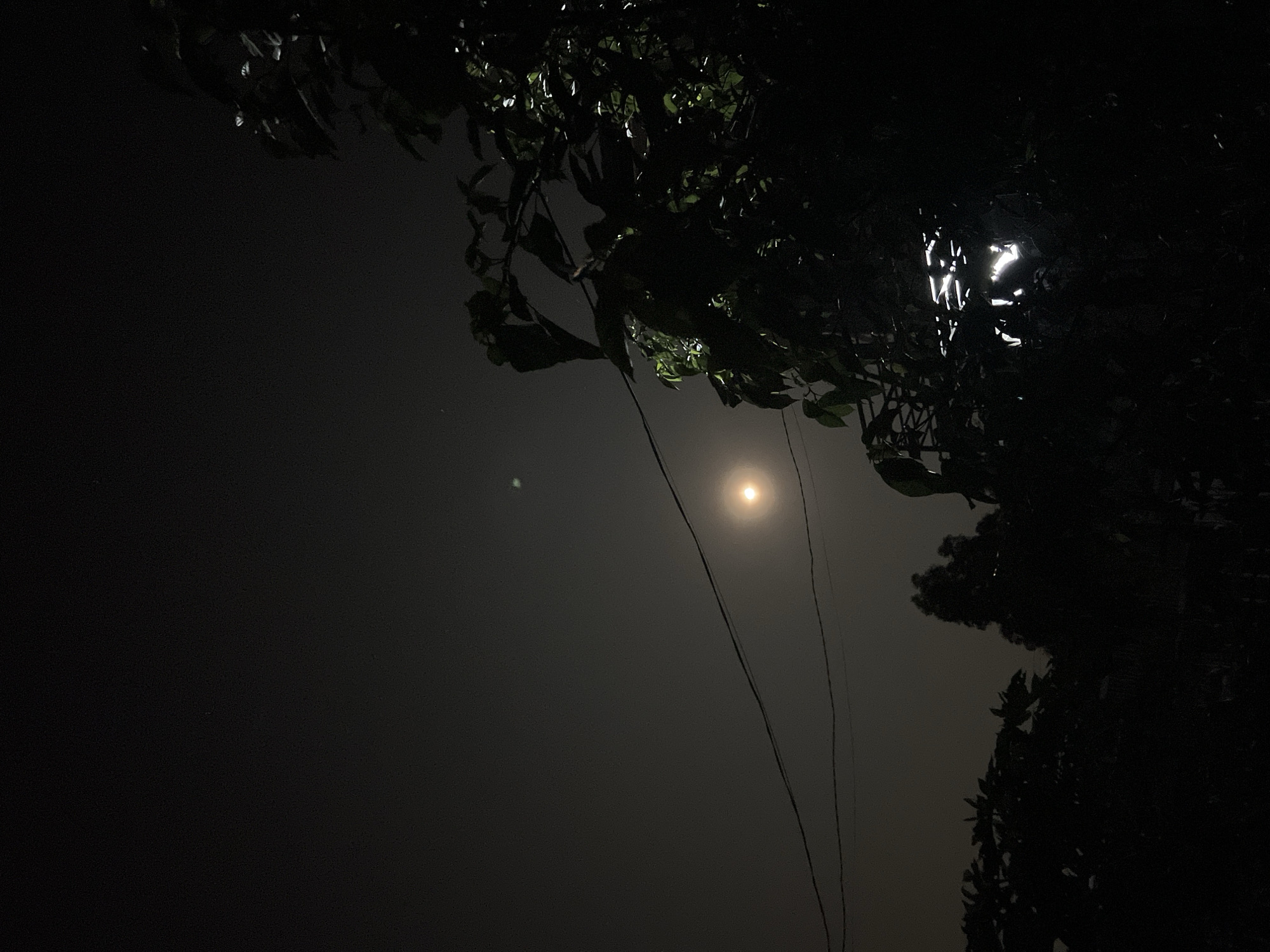 The image, likely taken at night in Tây Nha Trang, Vietnam, depicts a dark sky with a light, likely the moon, shining through branches and leaves of trees in the upper right and upper left corners. Two thin wires or lines stretch from the right side of the image diagonally upwards towards the light. The overall ambiance suggests a low-light environment. No people are visible.