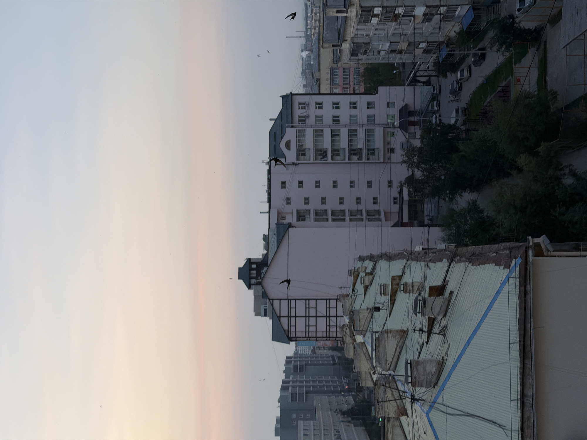 This is an eye-level, vertical, medium shot of an urban landscape in Yakutsk, Russia, at dusk. The sky is a gradient of pale pink, yellow, and blue, with a few small, dark birds in flight. In the foreground, several residential buildings with white and light-colored roofs are visible, adorned with numerous chimneys and tangled wires. A few of these roofs have a light blue trim.
The mid-ground is dominated by a tall, light pink apartment building with a dark roof and a prominent black-capped structure on top. Adjacent to it, a lighter-colored building with a cross-hatched facade stands out. Further back, more apartment blocks of varying heights and colors, including gray and beige, fill the urban panorama. The street level reveals parked cars and trees. A few figures are sparsely visible in the street. The overall impression is a somewhat aged, densely populated city.