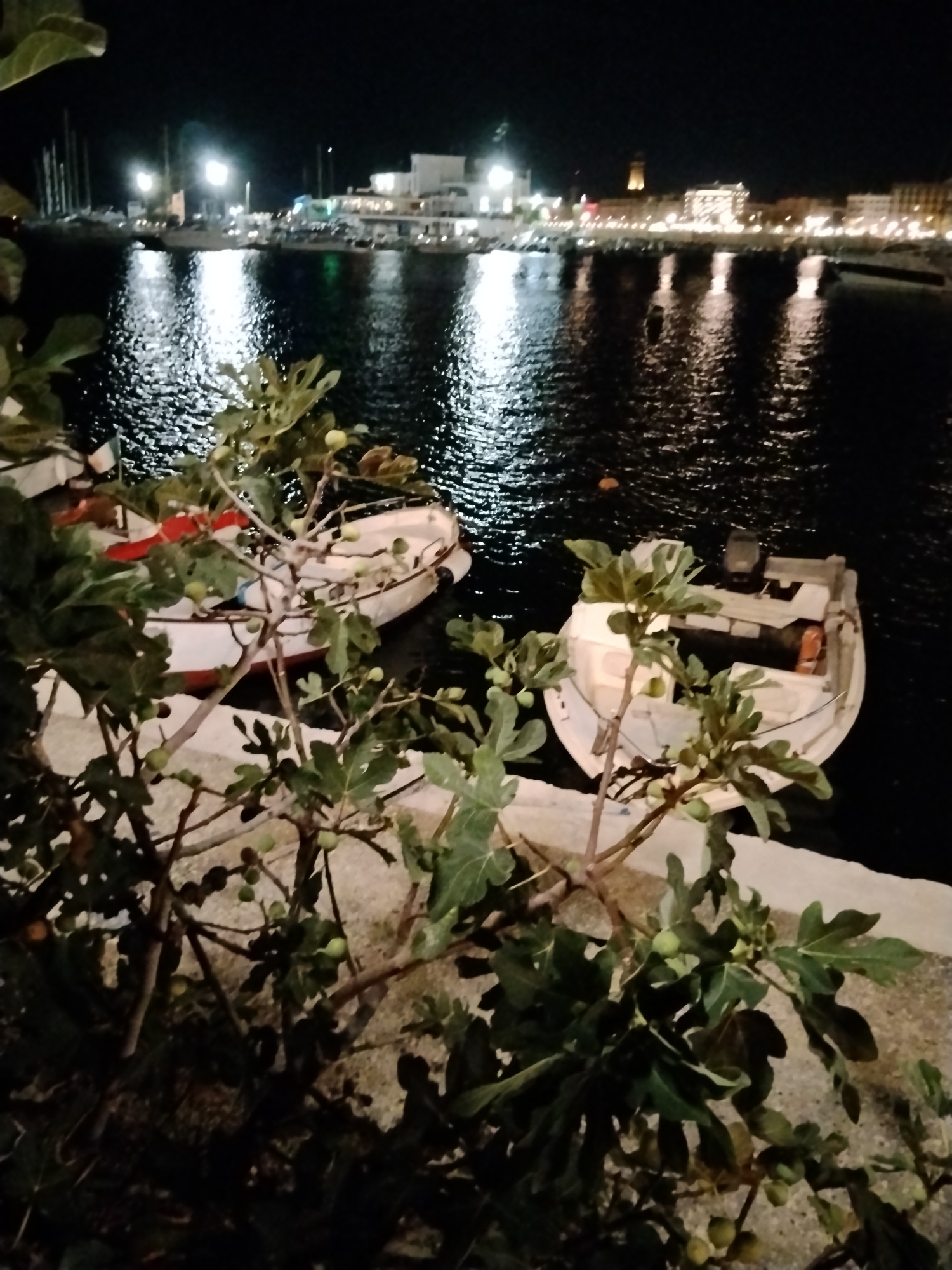 At night, a fig tree with visible green figs and leaves is in the foreground. Behind the tree, two white motorboats are docked in dark water, reflecting the lights from a city skyline in the distance. The city, identified as Bari, Italy, features illuminated buildings and masts of sailboats. The water is choppy, creating shimmering reflections of the city lights.