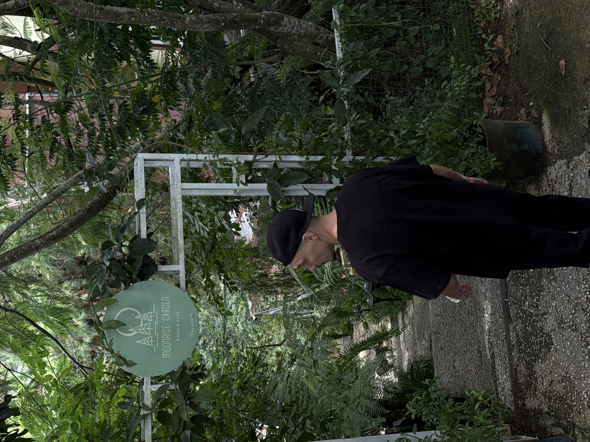 The image shows a person standing with their back to the camera, looking down a stone path lined with lush greenery. The person is wearing a black t-shirt and a black cap. To the left of the person, a circular sign with "MOONRISE GARDEN Home & Cafe Since 2016" is visible, indicating the location is Moonrise Garden, a home and cafe in Da Lat, Vietnam. The environment is overgrown with various plants, including ferns and trees, suggesting a natural and slightly wild setting. The path is made of small, uneven stones, and there are some small lights along its edge. The overall atmosphere is one of a hidden, verdant retreat within the city.