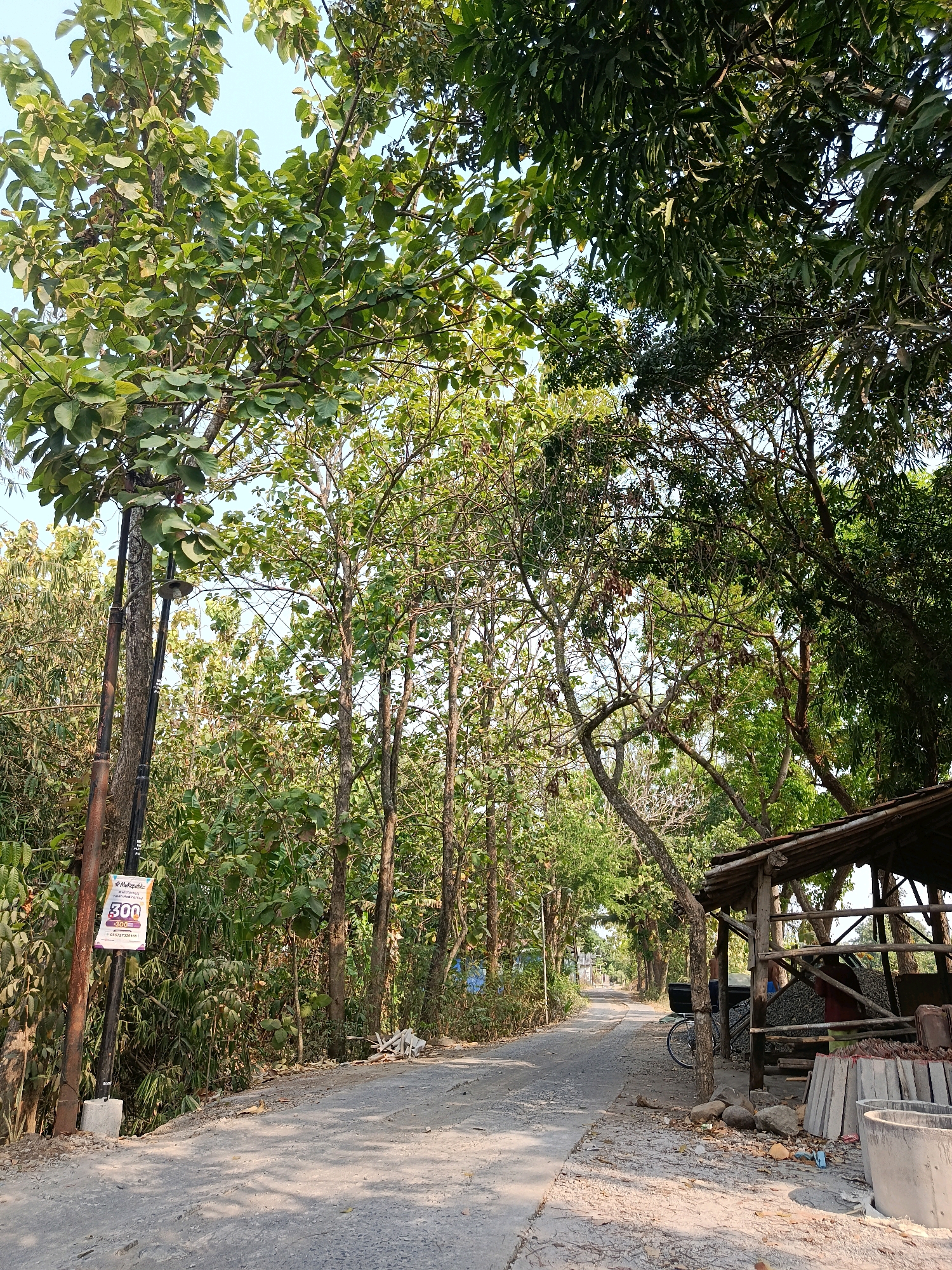 This image depicts a paved road winding through a densely wooded area. On the left side of the road, a utility pole stands, adorned with a sign for "The Republic" hospital, advertising a price of "300". The road is flanked by various trees, some with lush green foliage and others with sparser branches. To the right of the road, a rustic, open-air shelter is visible, constructed with wood and corrugated metal roofing. This shelter appears to be used for storage, with piles of what look like construction materials, including cement blocks, pipes, and gravel, stacked within. A bicycle leans against a tree near the shelter. The scene is brightly lit by natural daylight, suggesting it was taken during the day. The overall environment suggests a rural or semi-rural setting.