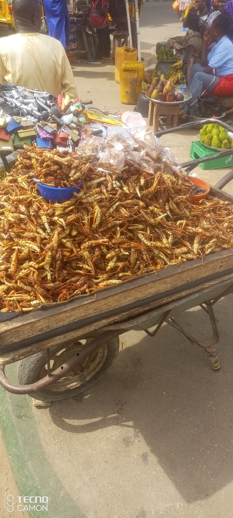 This is a vertical, eye-level, medium shot of a market stall in Jalingo, Nigeria, featuring a large quantity of dried locusts for sale. The locusts are piled high in a wooden wheelbarrow, with a blue bowl of what appears to be salt or seasoning in the center of the pile. To the left of the wheelbarrow, a variety of padlocks and other hardware items are displayed on a table. In the background, several people are visible, including a vendor selling avocados and other fruits, and a person wearing a blue shirt and jeans. The ground is paved with asphalt, and there are shadows cast from the overhead structures and the wheelbarrow. The scene is brightly lit by natural sunlight.