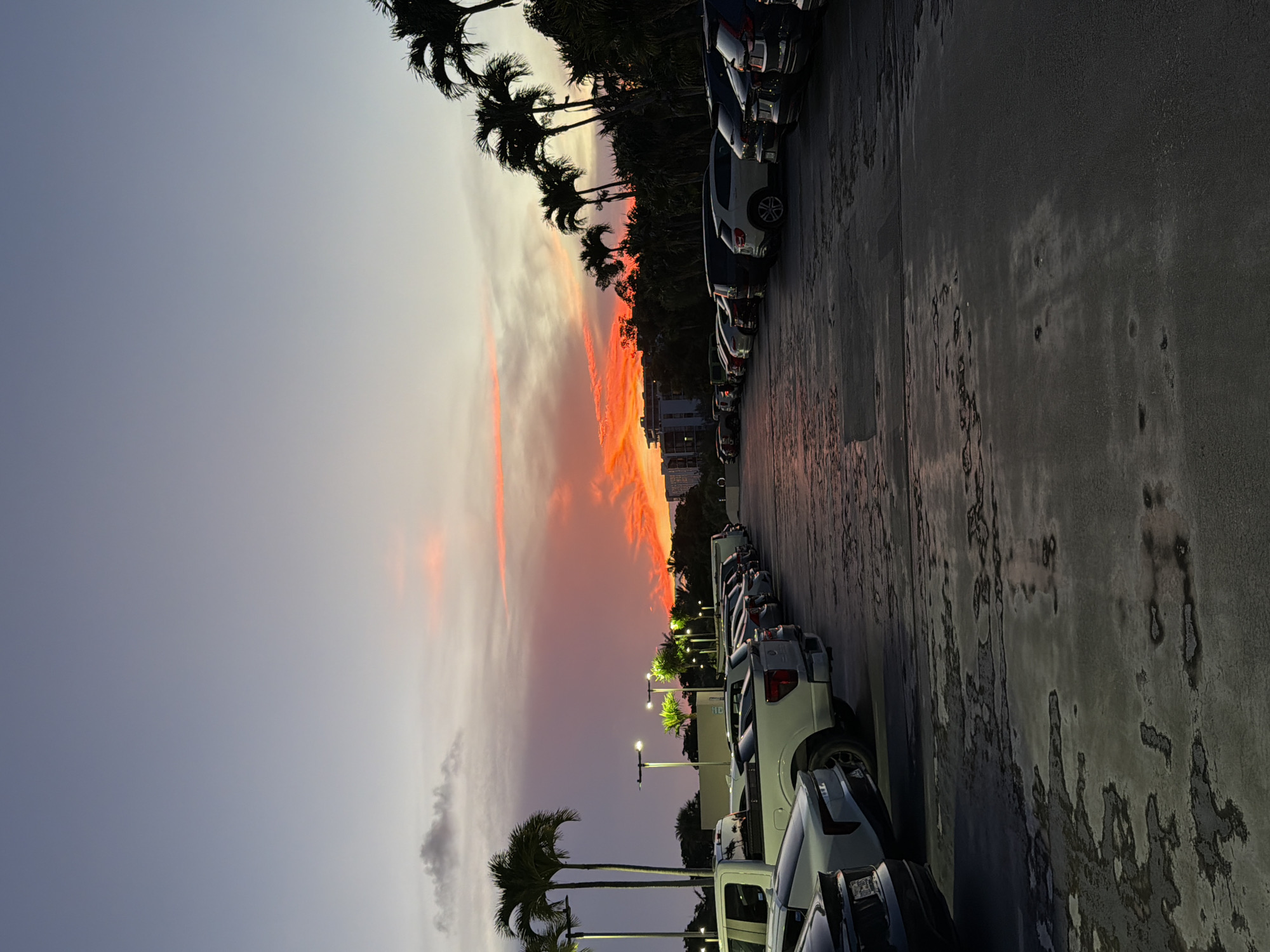 A vertical, medium shot captures a parking lot at dusk with a vibrant sunset. In the foreground, the asphalt surface exhibits water stains and discoloration. A row of cars, including a white pickup truck and several sedans and SUVs, are parked facing away from the viewer. To the left, a white pickup truck and parts of other vehicles are visible.
The middle ground is dominated by palm trees, some of which are silhouetted against the sky. Streetlights with a warm glow are also present, illuminating the parking area. In the background, a line of dense foliage and trees stretches across the horizon, with buildings visible above them.
The sky is a dramatic spectacle of color, transitioning from a deep purple and pink near the horizon to a lighter blue at the top. A prominent band of fiery orange and red clouds illuminates the center of the sky, creating a striking contrast. The scene is set in the city of Aventura, United States of America.
