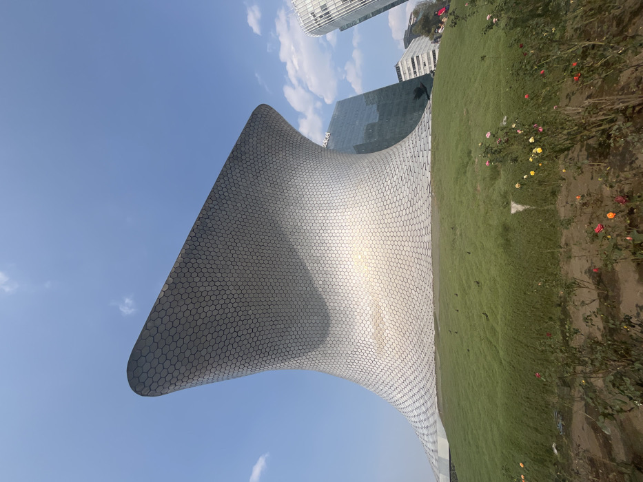 The Soumaya Museum stands prominently against a blue sky. Its unique, bulbous shape is covered in hexagonal tiles, creating a shimmering effect. Adjacent to the museum is a grassy area, bordered by a mix of plants and flowers. In the background, modern skyscrapers rise, hinting at the urban environment. The overall composition highlights the museum's distinctive architecture and its surrounding landscape.