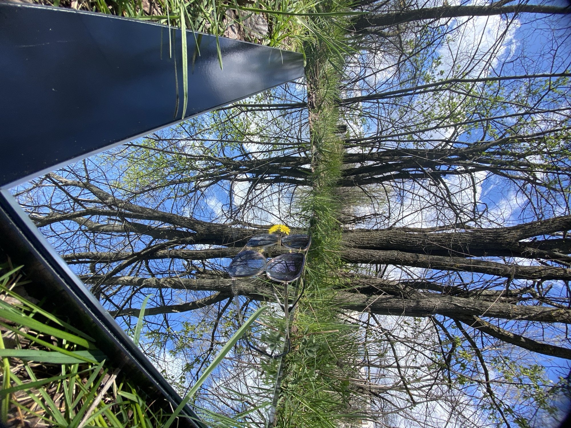 A reflective black mirror is positioned among grass and foliage, capturing an image of tree branches against a blue sky with scattered clouds. Sunglasses and a single yellow flower are placed on the mirror. It is impossible to definitively determine the location within the city of Pleven, Bulgaria, without additional context or clues. The scene appears to be outdoors in a natural setting.
