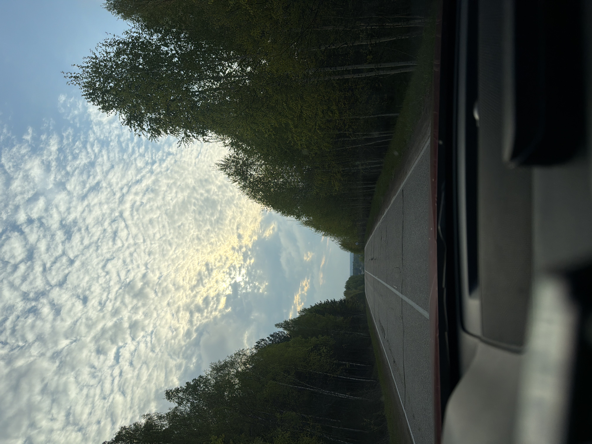 The image shows a view from inside a vehicle, looking out onto a road flanked by dense birch trees under a cloudy sky. The road, marked with a white center line and a red shoulder, stretches into the distance, seemingly heading towards a horizon line. The sky is predominantly blue, filled with scattered, textured clouds. The birch trees form a dense canopy on either side of the road. The location is likely near Chaikovsky, Russia, given the prevalence of birch trees and the overall landscape, although precise confirmation requires additional location indicators.