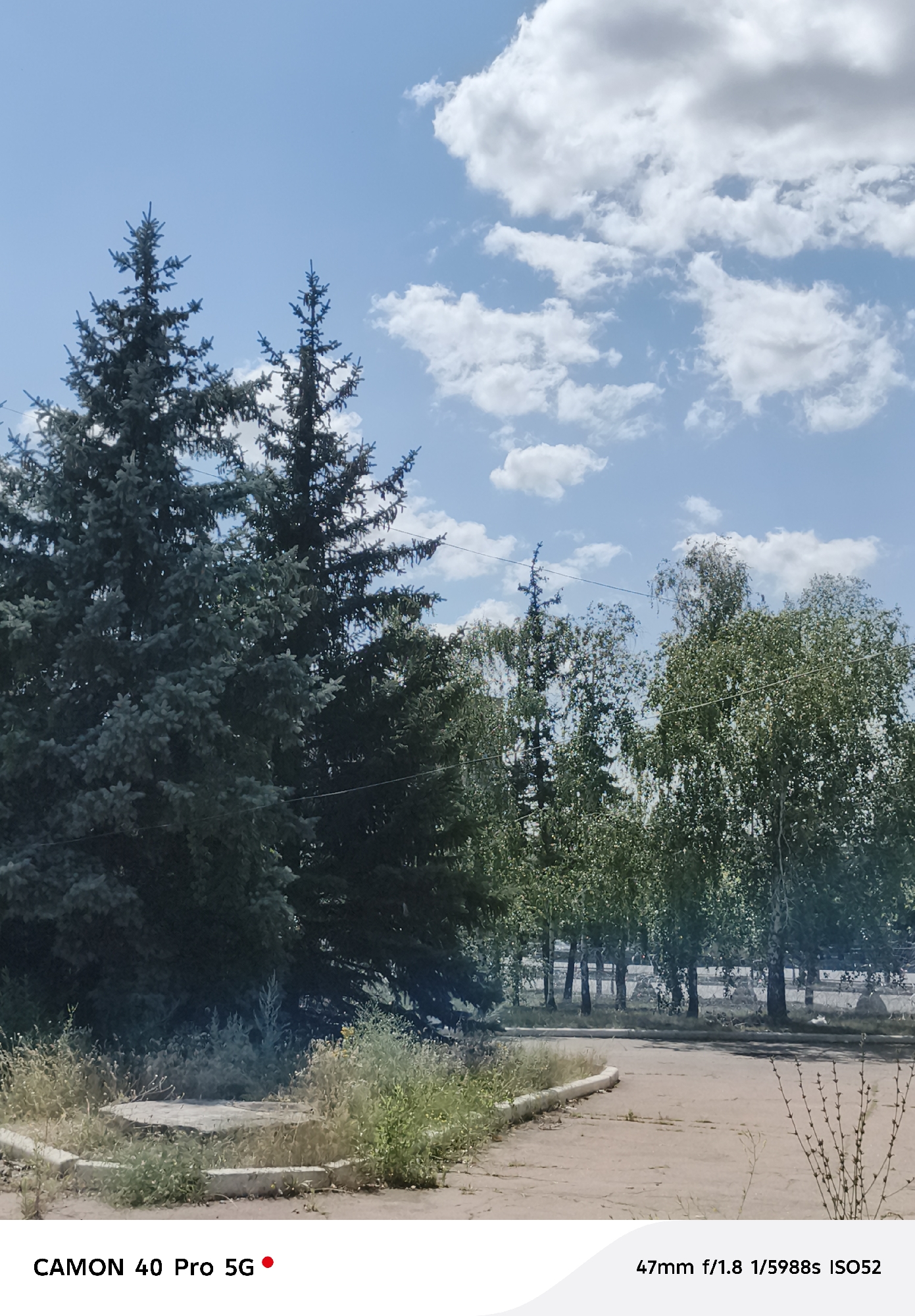 An outdoor shot features a clear blue sky with scattered white clouds. In the foreground, two large evergreen trees dominate the left side of the frame, their needles a deep blue-green. To the right, a line of deciduous trees with lighter green foliage stands behind a rough, paved area. The ground is covered in dry grass and a concrete structure is visible in the lower left quadrant. The scene suggests a park or a roadside area within the city of Kramatorsk, Ukraine.