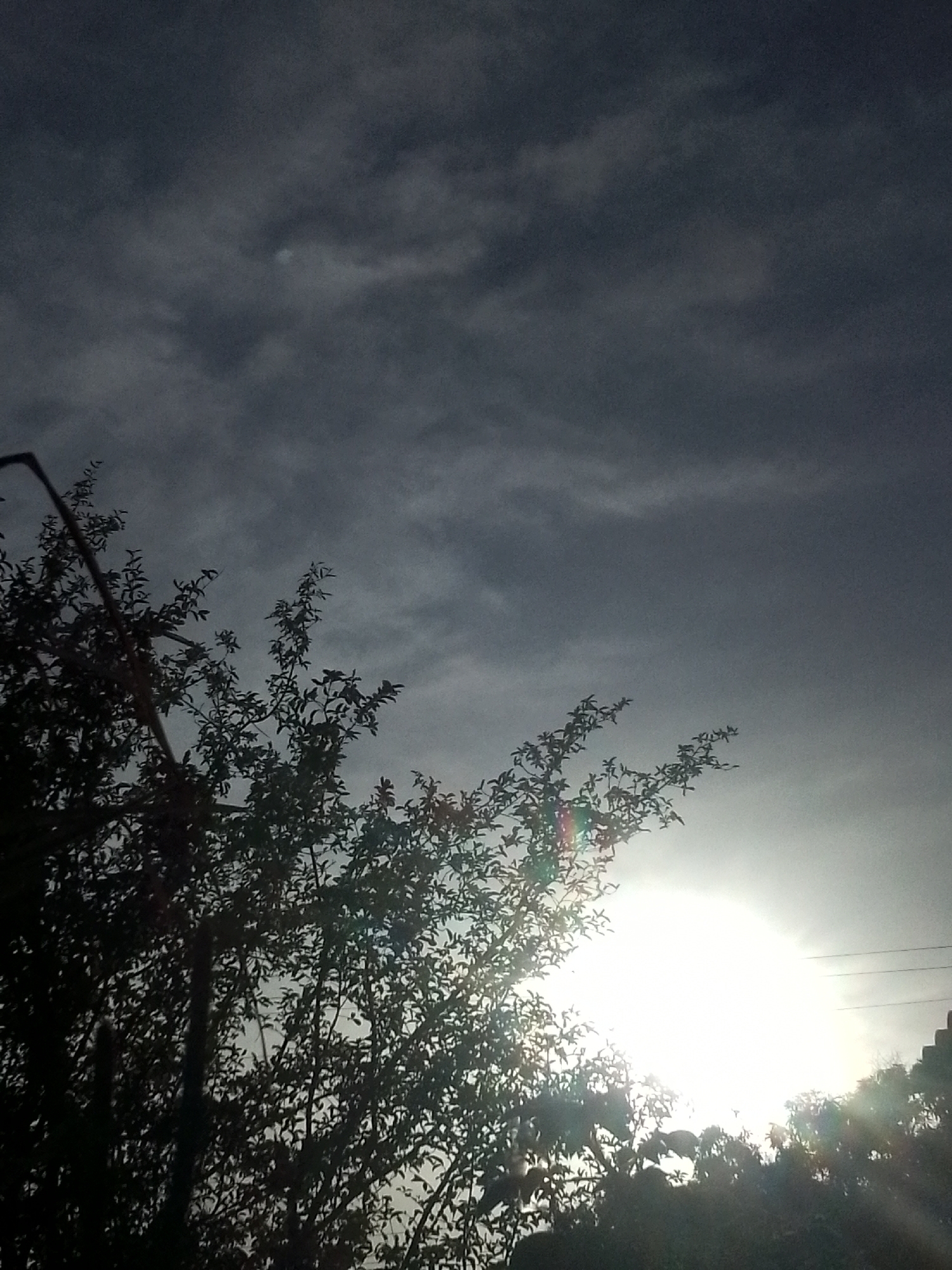The image displays a dramatic scene dominated by a contrasting sky and silhouetted foliage. The sun, positioned intensely bright in the lower right, creates a strong backlight effect and pronounced lens flare, suggesting either sunrise or sunset.
The upper and left portions of the sky feature dark, heavy, and textured clouds, ranging from deep gray to lighter shades, indicating an overcast or partly cloudy weather condition. These clouds transition towards the right into a much brighter, almost white expanse of sky directly around the sun's glare.
A dense tree or large bush, with numerous branches and leaves, occupies the foreground on the left and bottom of the frame. Its entire structure is rendered in dark silhouette against the luminous sky, with individual leaves and branch patterns discernible. A vertical, dark, linear object, possibly a pole or a part of a structure, is partially visible along the far left edge, extending into the foliage. Faint horizontal lines, potentially power lines, can be glimpsed in the intense glare area on the far right.
No specific activity or event is captured, nor are there any people or visible text. The overall atmosphere is striking and moody, highlighting the natural beauty of light and shadow in Juan Griego, Venezuela.