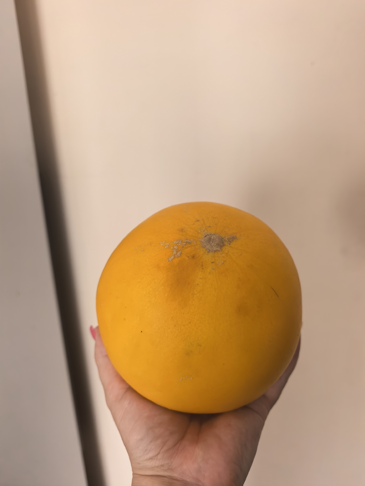 A hand with pink fingernail polish holds a small, round, orange-colored melon. The melon has some textured, light brown markings on its surface, particularly near the top. The background consists of a plain, light-colored wall with a vertical dark shadow on the left side of the frame. The scene is indoors.