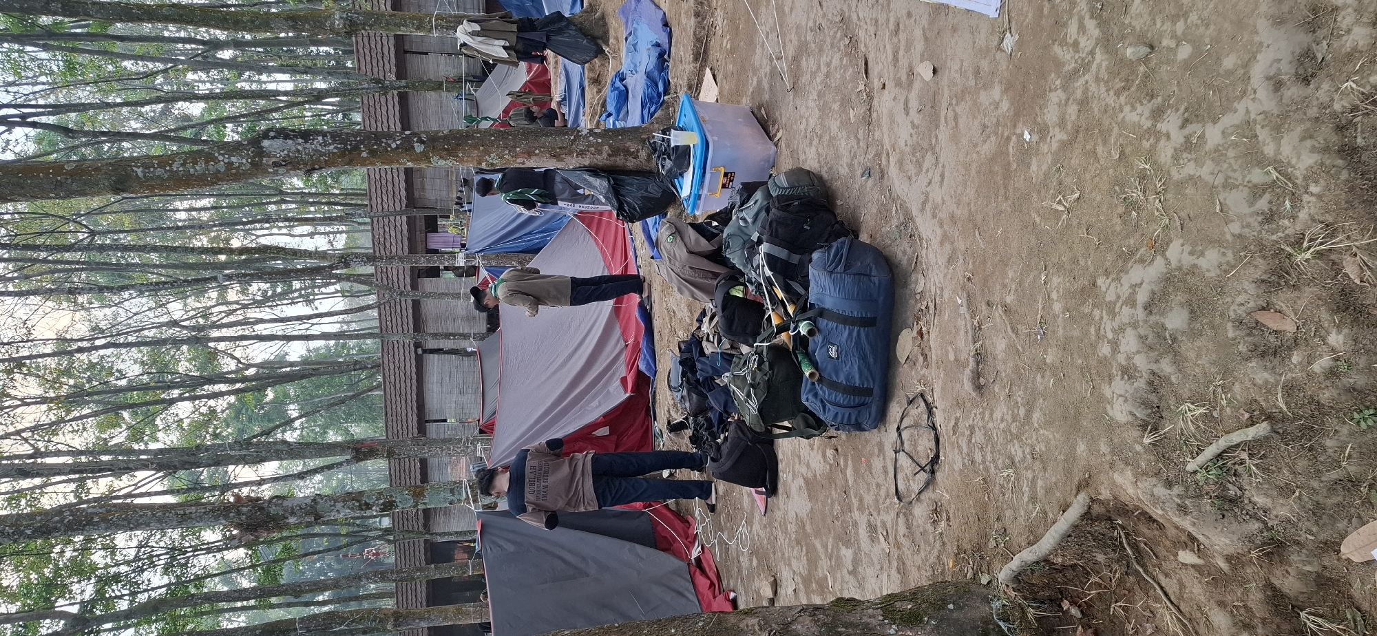 The image depicts an outdoor scene in the city of Puntukrejo, Indonesia, likely a campground or an area set up for an event. Several tents are visible, including a large gray and red tent and a blue tent. A collection of backpacks and duffel bags are piled on the ground in the foreground, some appearing to be military or scout-issue gear. Two individuals, appearing to be young men, are standing near the tents. One is wearing a tan shirt with dark pants, and the other a darker shirt with dark pants and a green scarf. Another person is partially visible sitting near a blue tarp in the background. The environment is characterized by numerous trees with bare branches, suggesting either a cooler season or a type of tree that sheds its leaves. The ground is dirt and dry leaves. A brown wooden building with a tiled roof is visible in the mid-ground. A clear plastic container with a yellow lid and a drink with ice are on the ground near the center of the image, next to a large blue duffel bag.