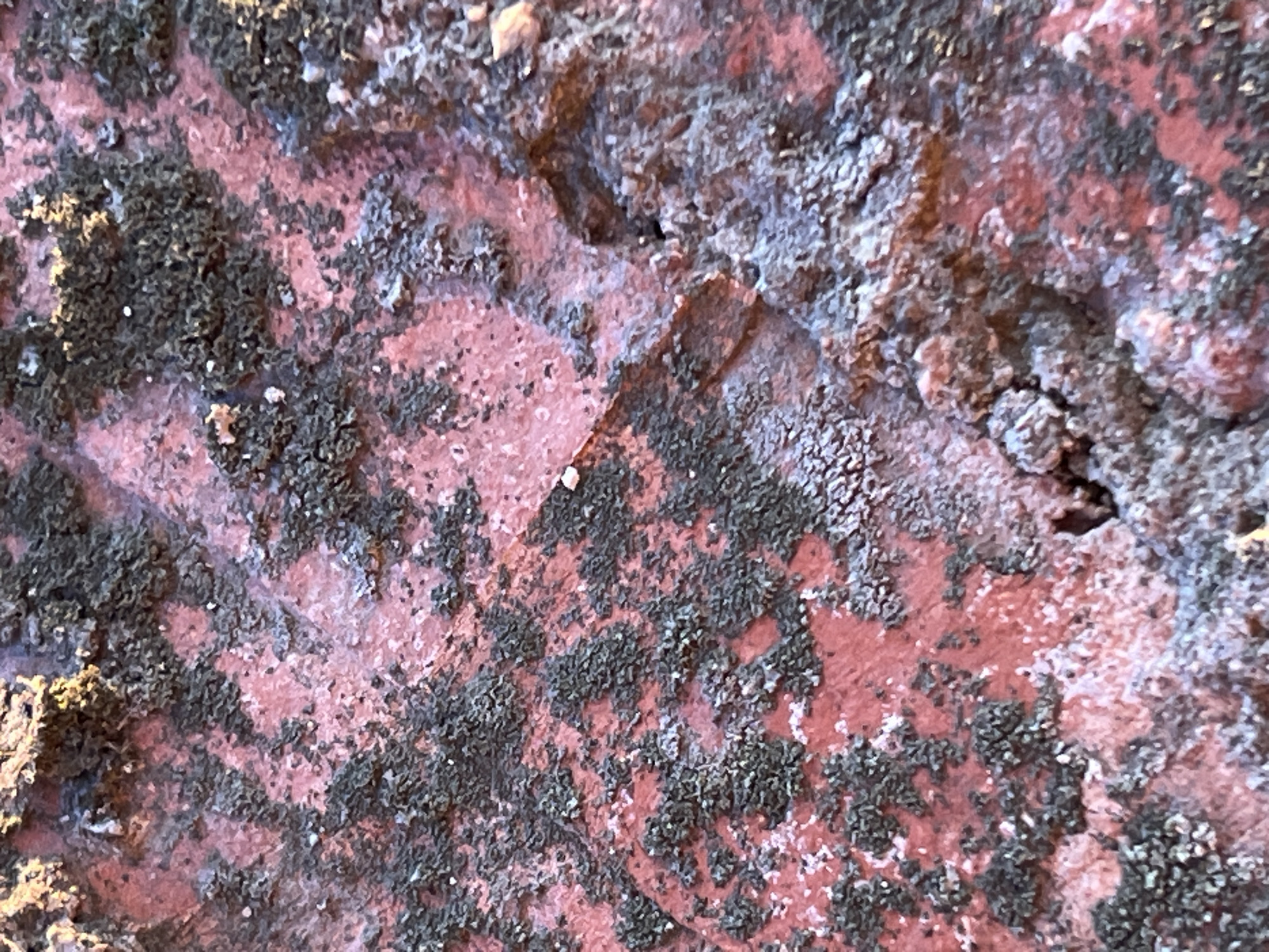 The image is a close-up, abstract view of a textured, reddish-brown surface with dark, granular patches. The surface appears rough and uneven, with subtle variations in color and depth. The dark patches are irregular in shape and distribution, resembling a growth or stain on the underlying material. Some lighter, almost white specks are visible interspersed with the darker areas and the reddish background. The lighting suggests a direct light source, creating some shadows and highlights that emphasize the texture. There are no discernible subjects such as people or specific objects, nor is there a clear indication of a scene or setting. The image focuses entirely on the material's surface detail, making it impossible to determine the time of day, weather, specific location, or any emotions. No visible text is present in the image.