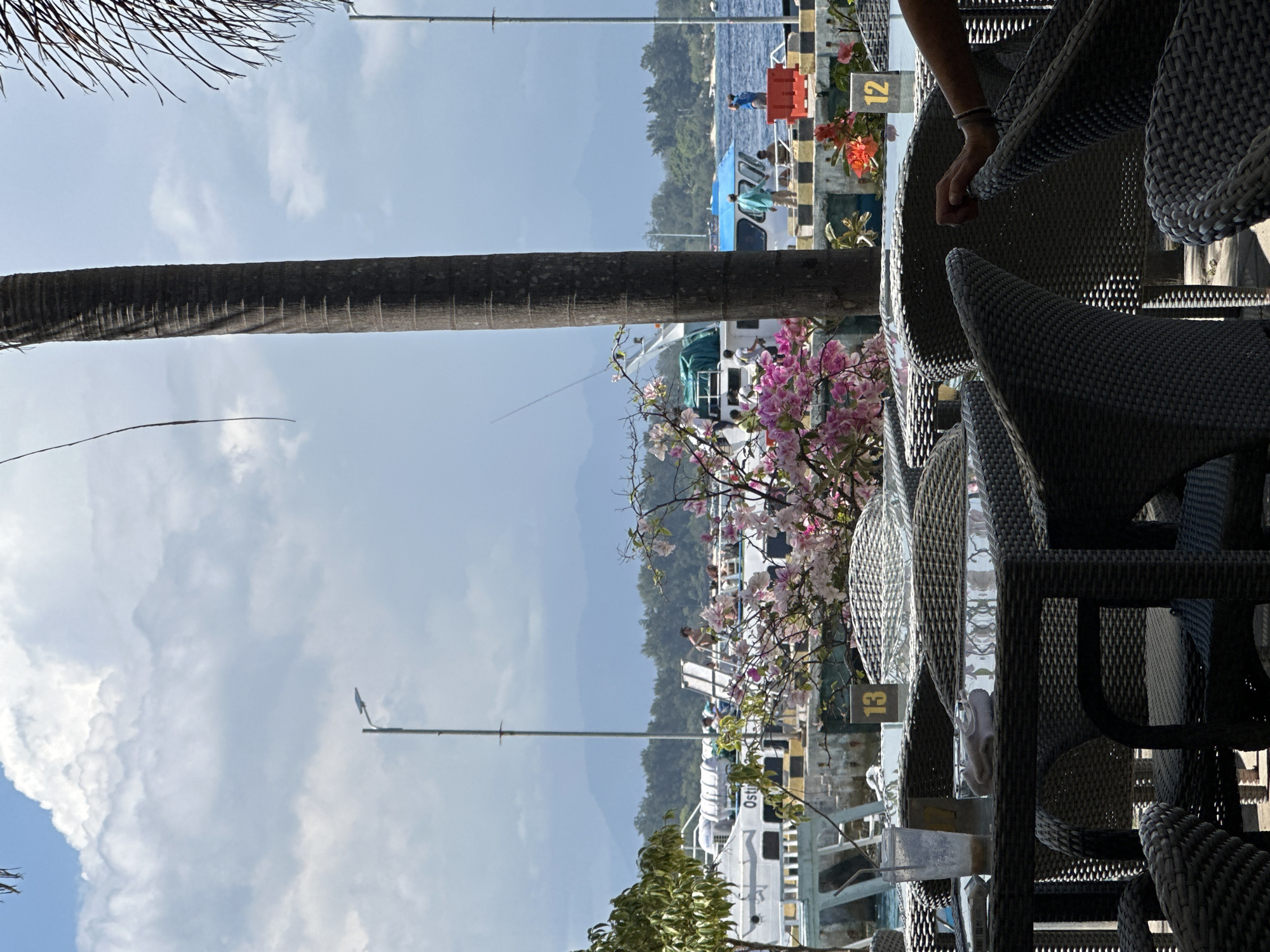 A bright outdoor daytime scene shows a harbor view from a waterside cafe in Unknown, Indonesia. The foreground features several woven, dark gray patio chairs and tables set for dining. A hand reaches toward one table.
Past the outdoor dining area, the harbor unfolds, teeming with white boats docked at a pier. Pink bougainvillea partially obscures the harbor. At the dock are people.
The backdrop shows a mountainous island with a tree-lined shore under a partly cloudy sky.
A palm tree trunk is visible on the left, reaching toward the sky.