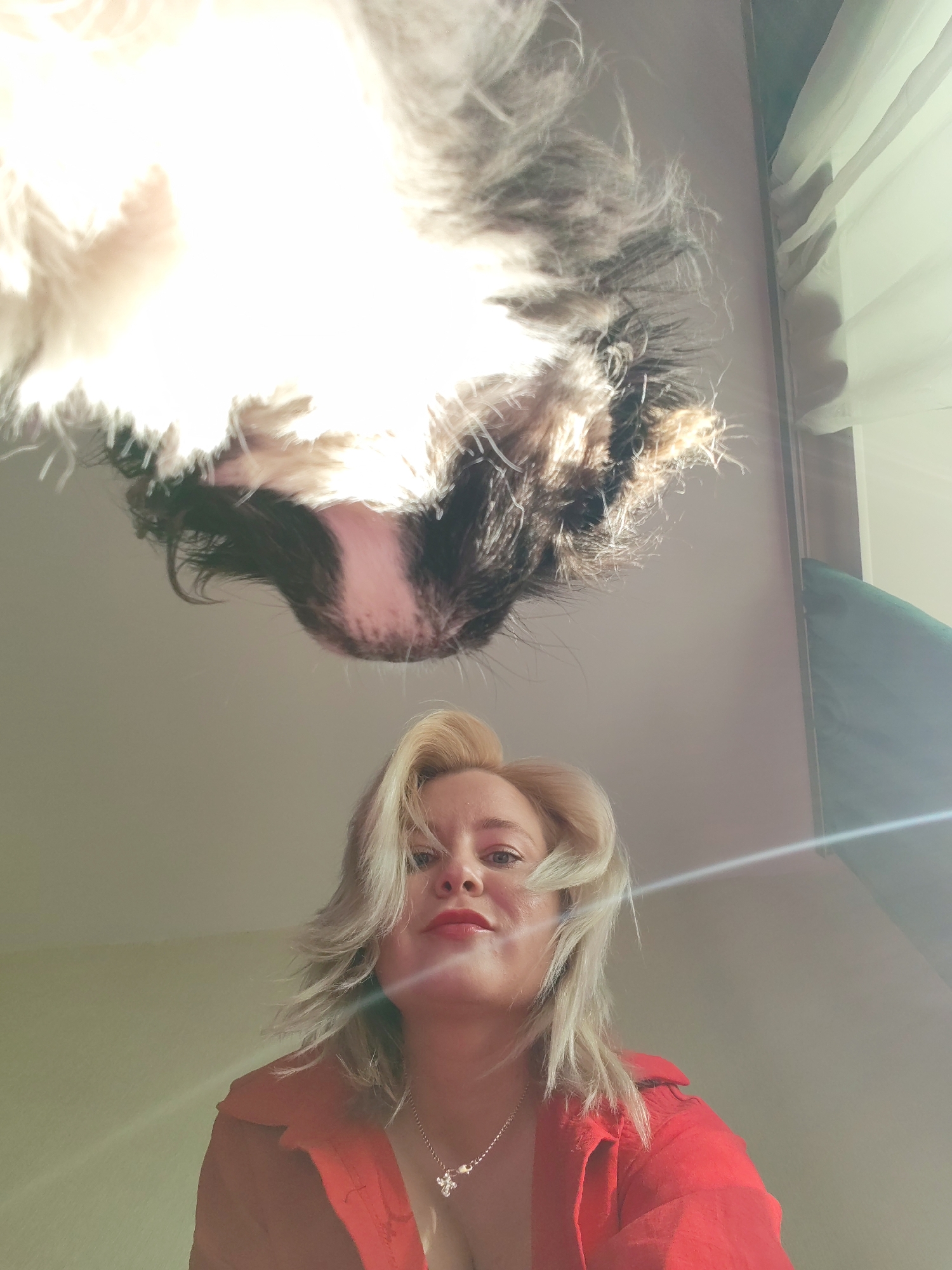 A low-angle shot reveals a woman and a dog. The woman has blonde hair and red lipstick, and she's wearing a red blouse and a silver necklace. The dog is positioned directly above her, its face close to the camera. The background is a plain, light-colored ceiling. A window with translucent curtains is visible in the upper right corner of the frame. The bright light of the sun is visible. The city and location are indeterminable from visual elements.