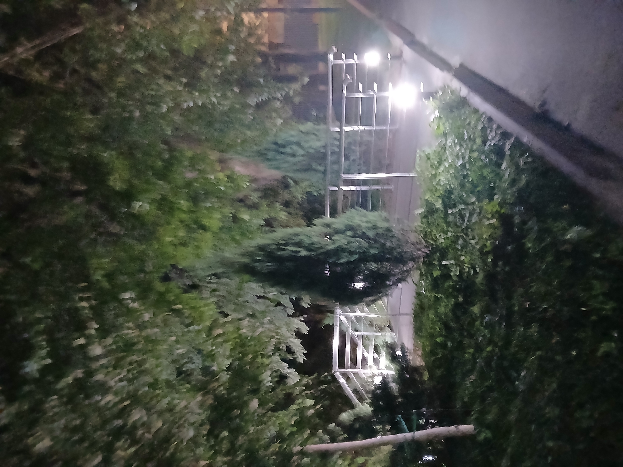 The image captures a park area at night in Ukrainka, Ukraine. A metal railing borders a pathway or bridge, illuminated by bright lights. Two evergreen trees are visible, one prominently in the center and another to the right, with lush green foliage surrounding them. The scene appears serene and well-maintained, suggesting a public recreational space. The lighting indicates it is after dark, and the presence of streetlights suggests the area is illuminated for public safety and ambiance.
