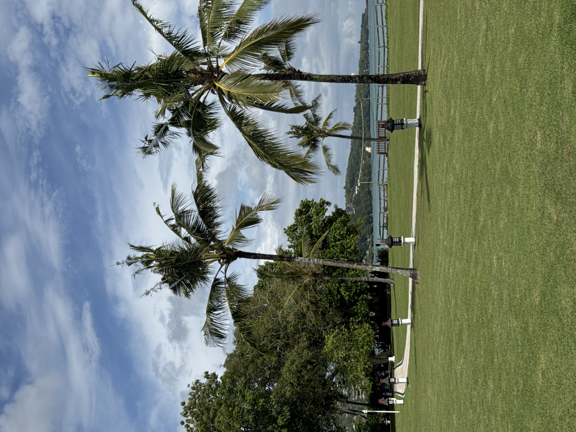 The image, when viewed upright, presents a serene tropical landscape under a bright, partly cloudy sky.
In the foreground and mid-ground, two prominent palm trees stand tall on the left, with their green fronds reaching towards the sky. Several smaller palm trees and other dense green foliage are also visible further back, particularly on the left side. The lower and right portions of the frame are dominated by a vast expanse of impeccably manicured green lawn.
A white, curving pathway meanders through the green grass, leading towards the background. Along this path and bordering the distant body of water, several decorative lanterns or lights are visible. These lanterns feature a traditional design with a square base, slatted sides, and a peaked roof.
In the background, a tranquil body of blue-green water, likely an ocean or bay, stretches across the scene, separating the landscaped area from a distant landmass covered in lush green trees. A subtle fence or railing can be seen along the water's edge. The sky above is a clear blue with scattered, wispy white clouds.
No people are visible in the image, suggesting a peaceful and quiet environment. The scene appears to be captured during the daytime, under bright natural light, indicative of pleasant weather. The overall atmosphere evokes a sense of calm, natural beauty, and a well-maintained tropical setting, consistent with the provided location context of Kuta Selatan, Indonesia. There is no visible text in the image.