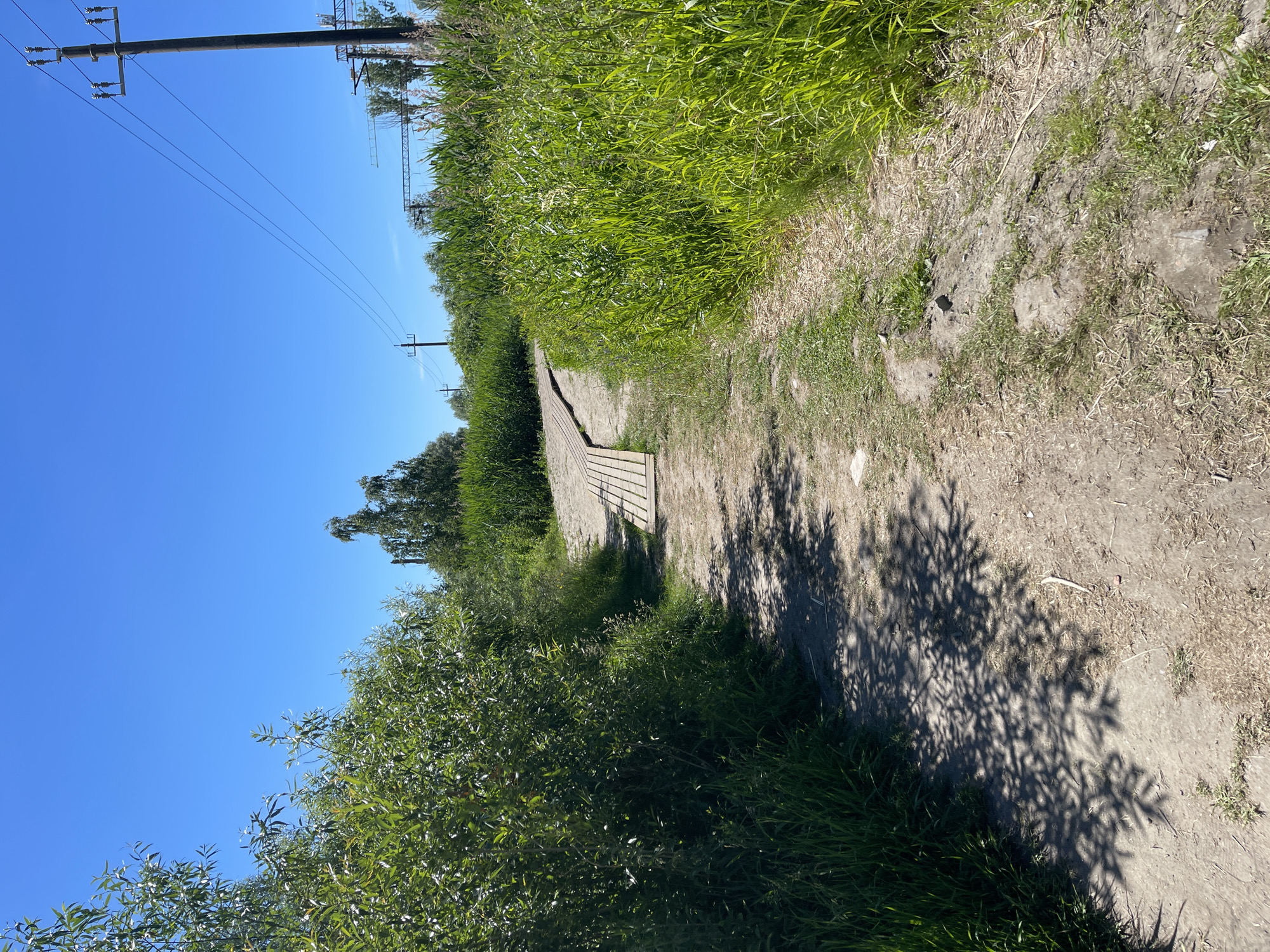 The image depicts a sunlit scene of a path bordered by lush green grass and trees. A wooden boardwalk is visible along the path, disappearing into the distance. Power lines and utility poles stretch across the bright blue sky, suggesting the presence of infrastructure. The time of day appears to be morning or afternoon, given the clear sky and the shadows cast by the trees. The setting evokes a natural, perhaps rural or semi-urban environment, with a focus on the landscape and the path that invites exploration. There are no people or animals visible in the image. The overall mood is peaceful and serene, highlighting the beauty of nature.