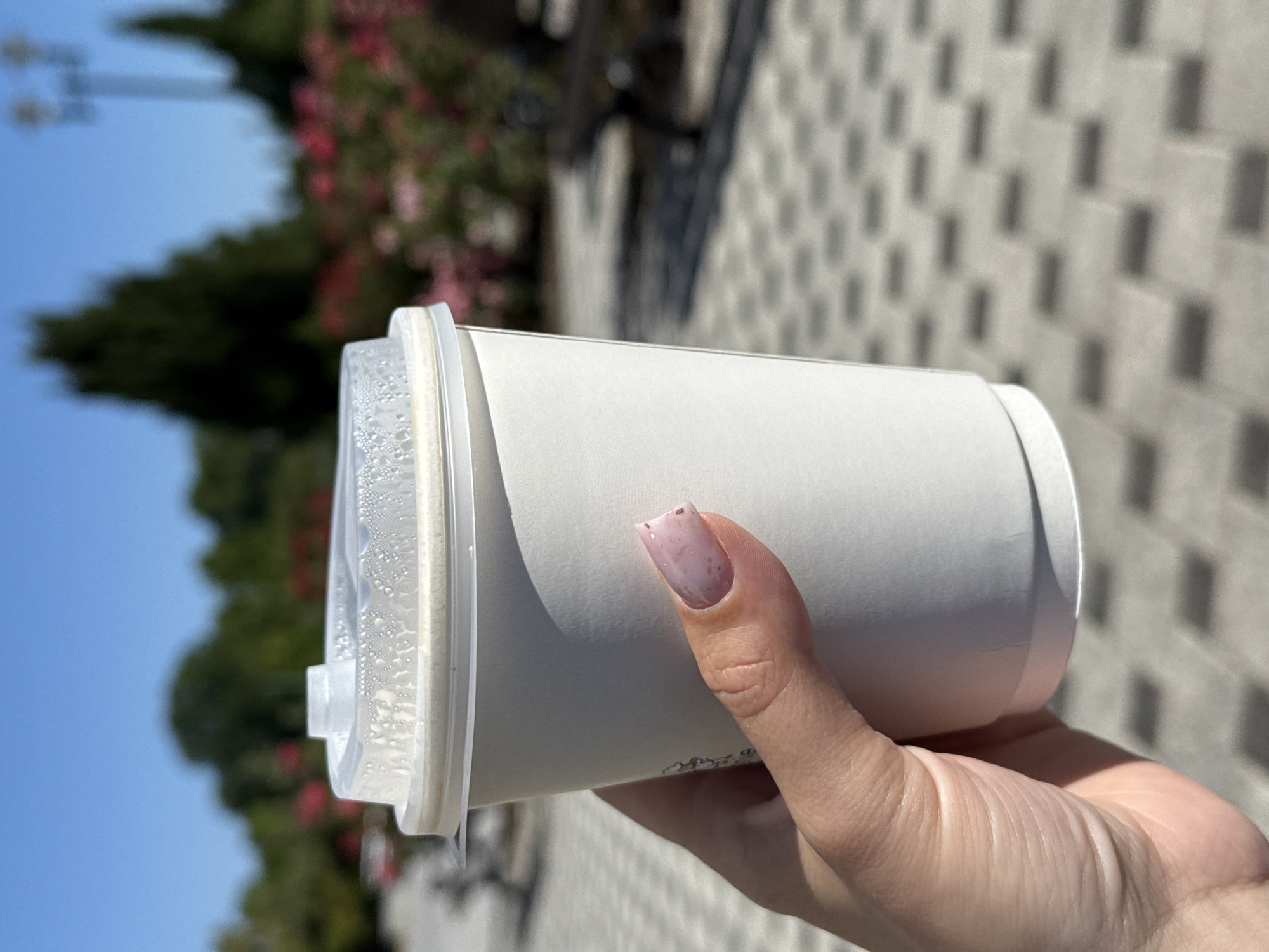 A hand with light skin and light pink nail polish is holding a white paper coffee cup with a clear plastic lid, condensation visible on the lid's surface. The cup is held in the foreground against a blurred background of a park. The background shows a paved walkway with a repeating geometric pattern, benches, rose bushes in bloom, and trees under a clear blue sky. The setting appears to be outdoors on a sunny day.