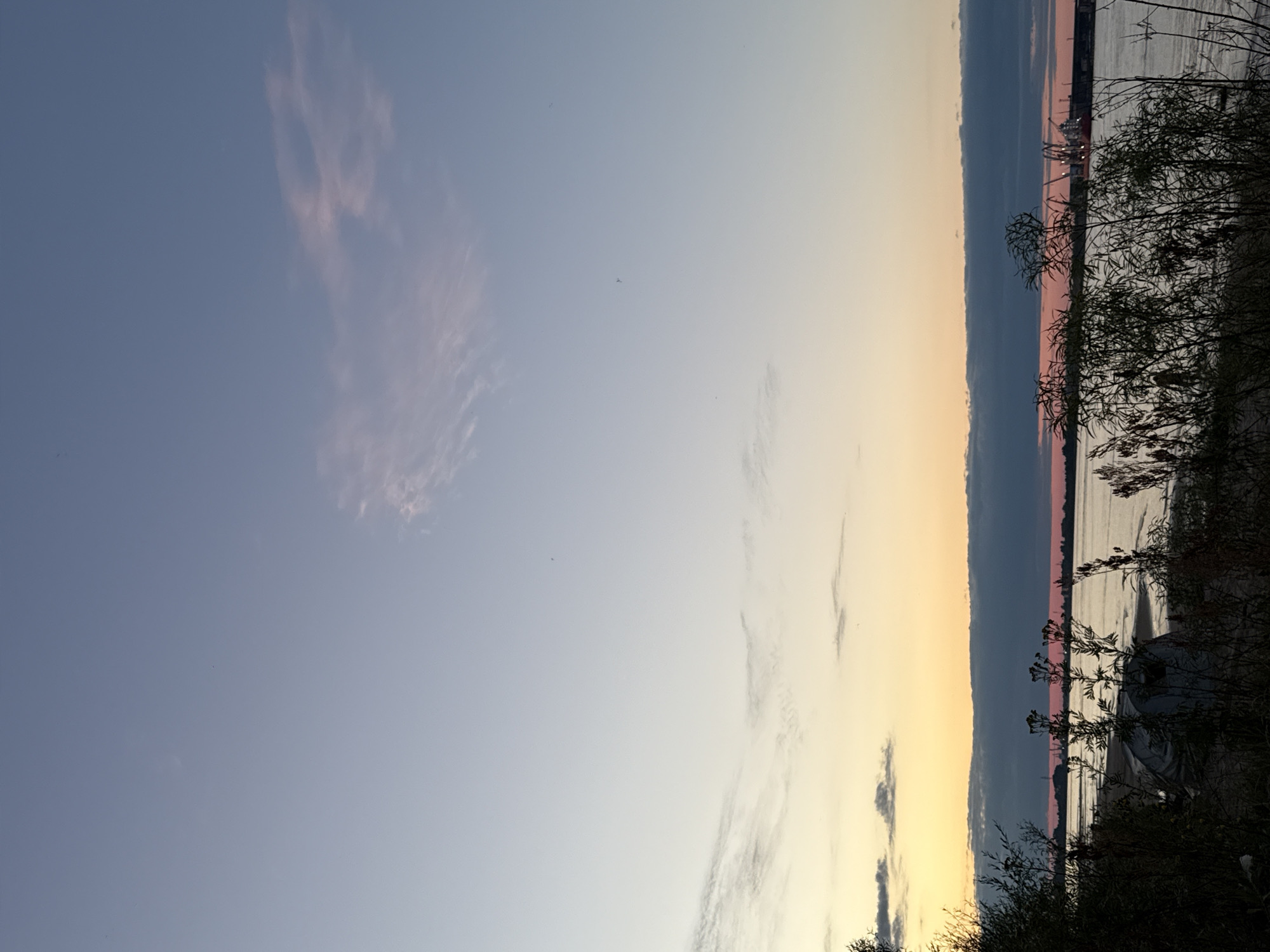 This is a photograph of the Dvina River in Arkhangelsk, Russia, taken during sunset. The sky transitions from a pale blue at the top to a soft yellow and orange near the horizon. Wispy clouds are visible, some tinged with pink. The river occupies the lower portion of the image, with a dark, silhouetted shoreline in the distance featuring industrial cranes and structures, likely part of the port. In the foreground, dense, dark vegetation, including tall plants and bushes, obscures the immediate riverbank. A white tarp-covered object, possibly a boat or shelter, is partially visible amongst the vegetation. The overall atmosphere is serene and quiet, characteristic of a coastal city at dusk. There are no people or animals clearly visible in the image.