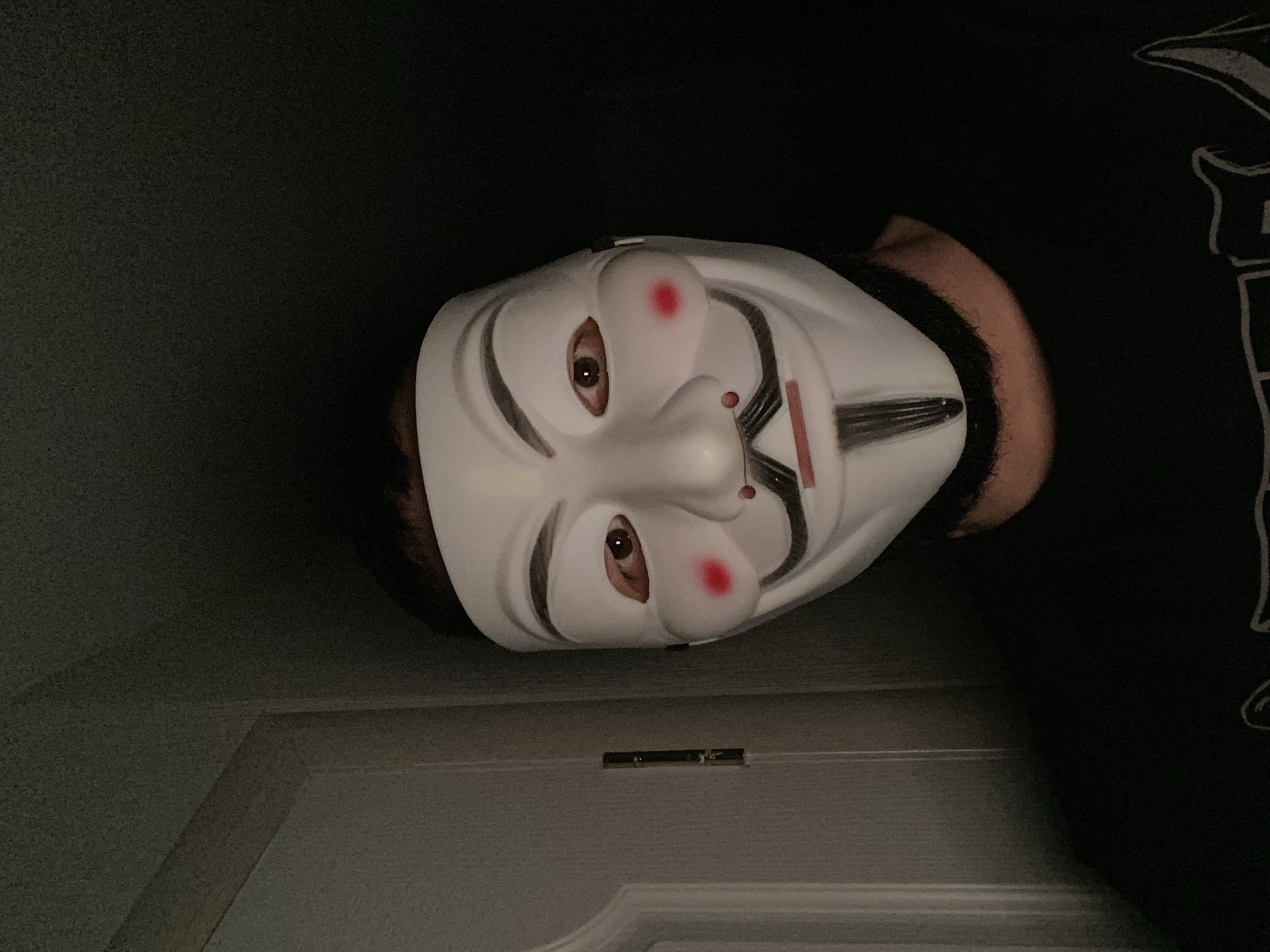 The image depicts a person wearing a white Guy Fawkes mask. The mask is positioned on the individual's face, revealing their eyes. The person is standing in front of a white door with a metal latch. The background is dark, with a wall visible on the left. Part of a black t-shirt is visible to the right of the person’s head. The location in Chaikovsky, Russia, cannot be verified based on the image alone.