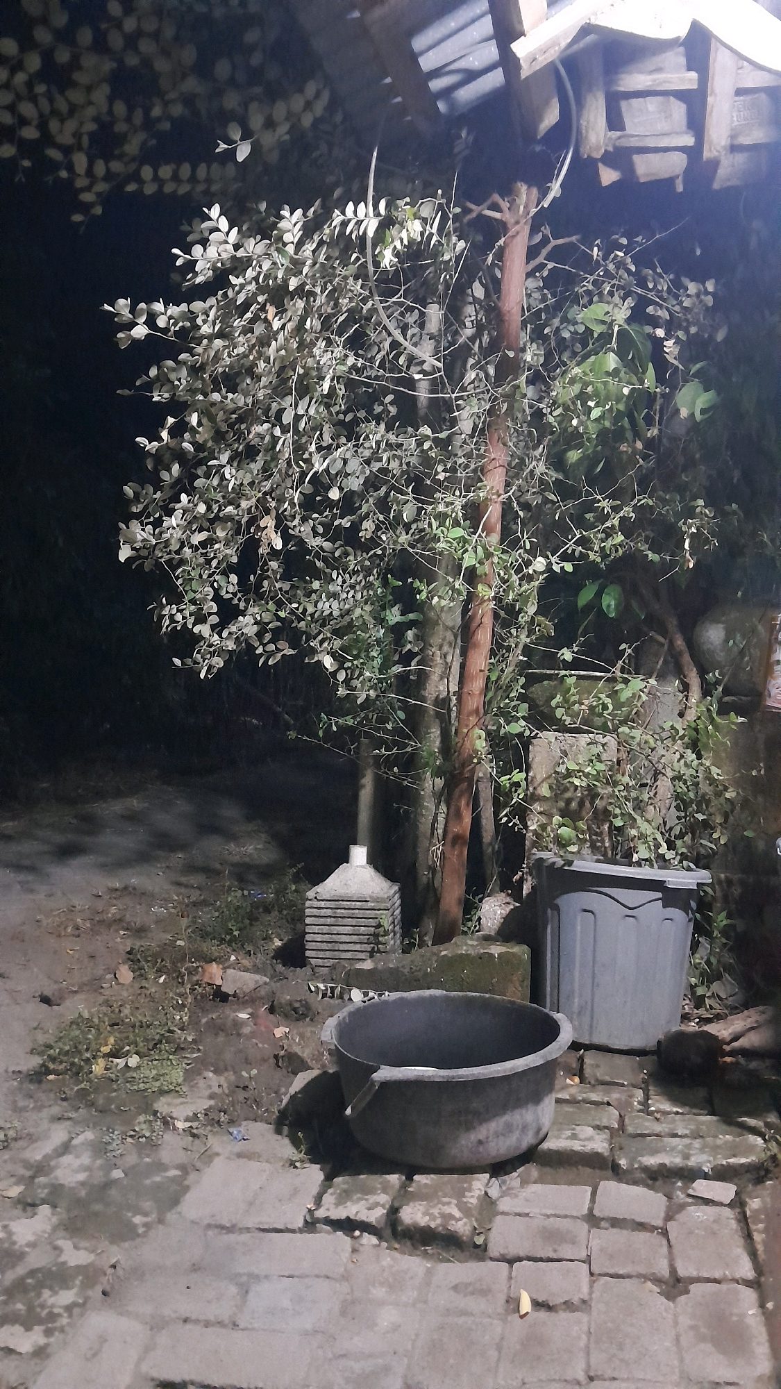 An outdoor scene at night in Sumberarum, Indonesia, shows a narrow paved walkway in the foreground. To the left, a large, dark gray basin sits on the paving stones. Behind the basin, a stacked, square concrete structure with tiered levels is visible. To the right of the basin, a tall, gray plastic trash bin stands on the ground. Behind these objects, a tree with sparse, light-colored foliage and thin branches is prominent. A reddish-brown pole supports some of the tree's branches and extends upward towards a wooden structure with a corrugated metal roof. The background is dark and indistinct.