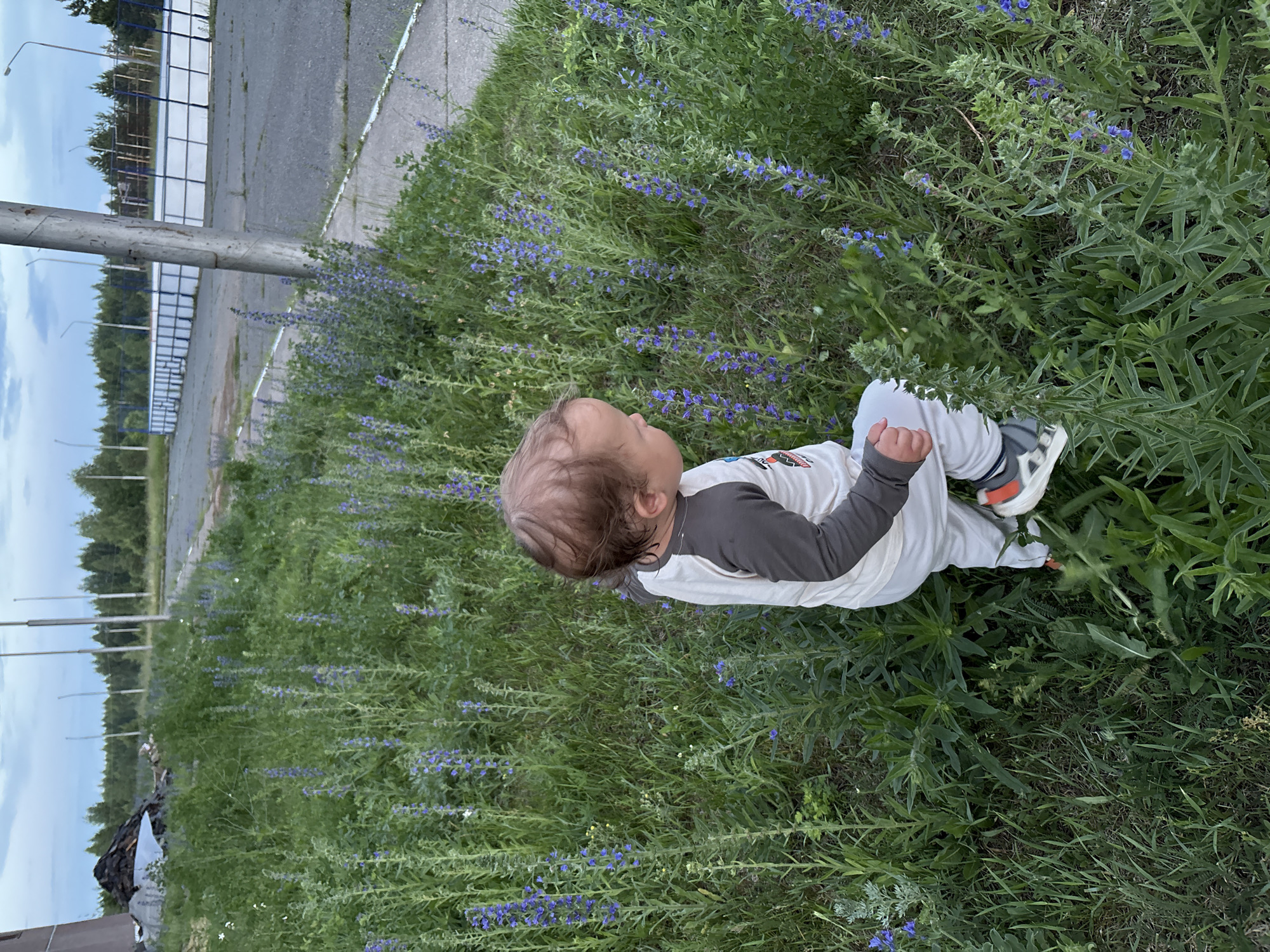 A toddler wearing a white and gray long-sleeved shirt and white pants is crouched in a field of blue wildflowers. The toddler's hair is brown and messy, and they are looking down at the flowers. The background shows a paved area with a fence and trees in the distance. The sky is overcast. The location is the abandoned sports complex in Markovsky, Russia.