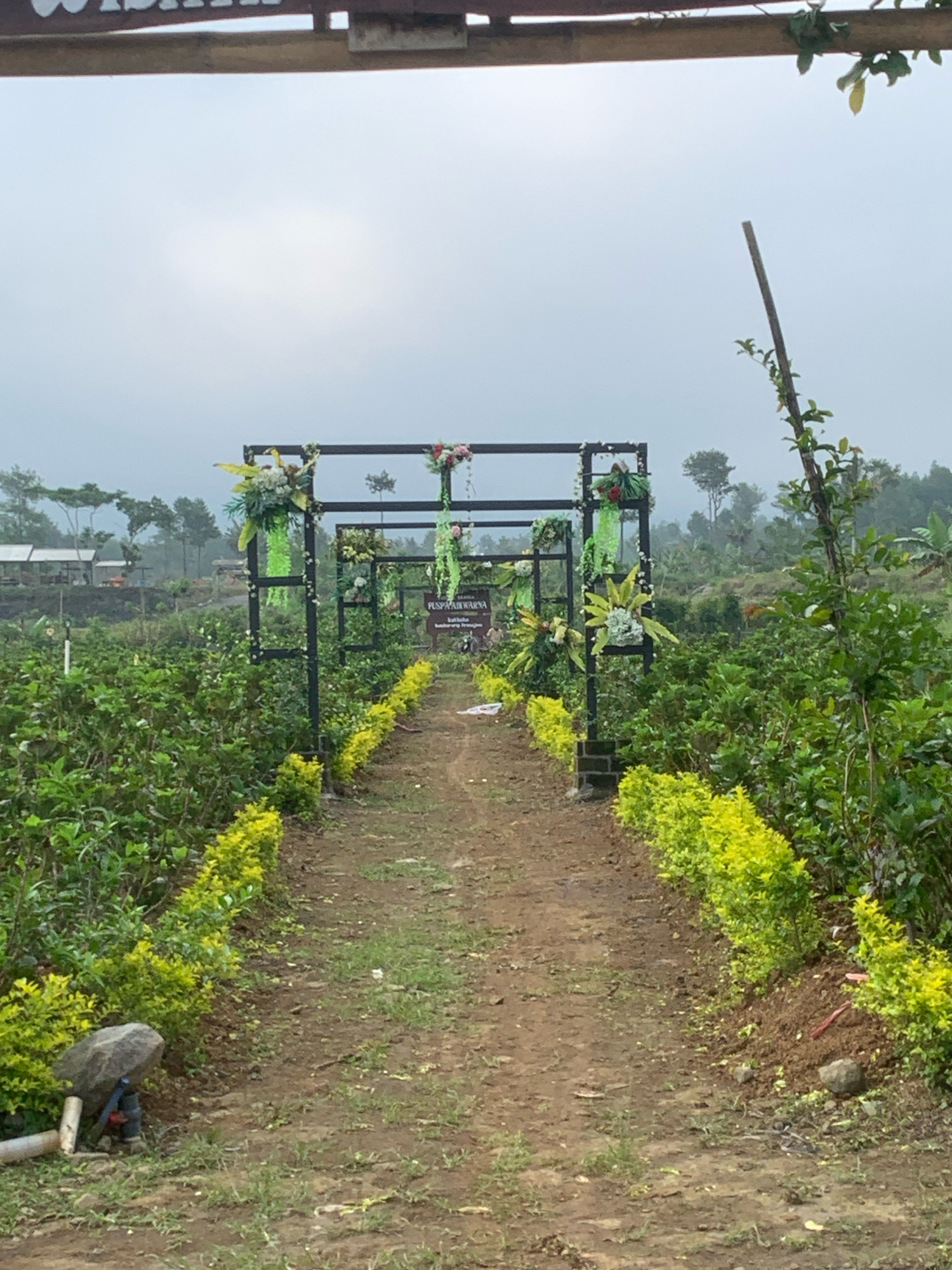 The image shows an entrance path to a location decorated with greenery and flowers. The path is made of dirt and gravel, lined on both sides by neatly trimmed, bright green bushes. Above the path, a metal structure serves as an archway, adorned with floral arrangements and greenery. In the background, there are more trees and some small buildings. A sign with text in Indonesian, "PUSPAWARNA," is visible on the right side of the archway. The sky is overcast, suggesting it might be a cloudy day. The overall scene depicts an outdoor recreational or garden area, likely in a rural or semi-rural setting within Orooroombo, Indonesia. There are no people visible in the frame.