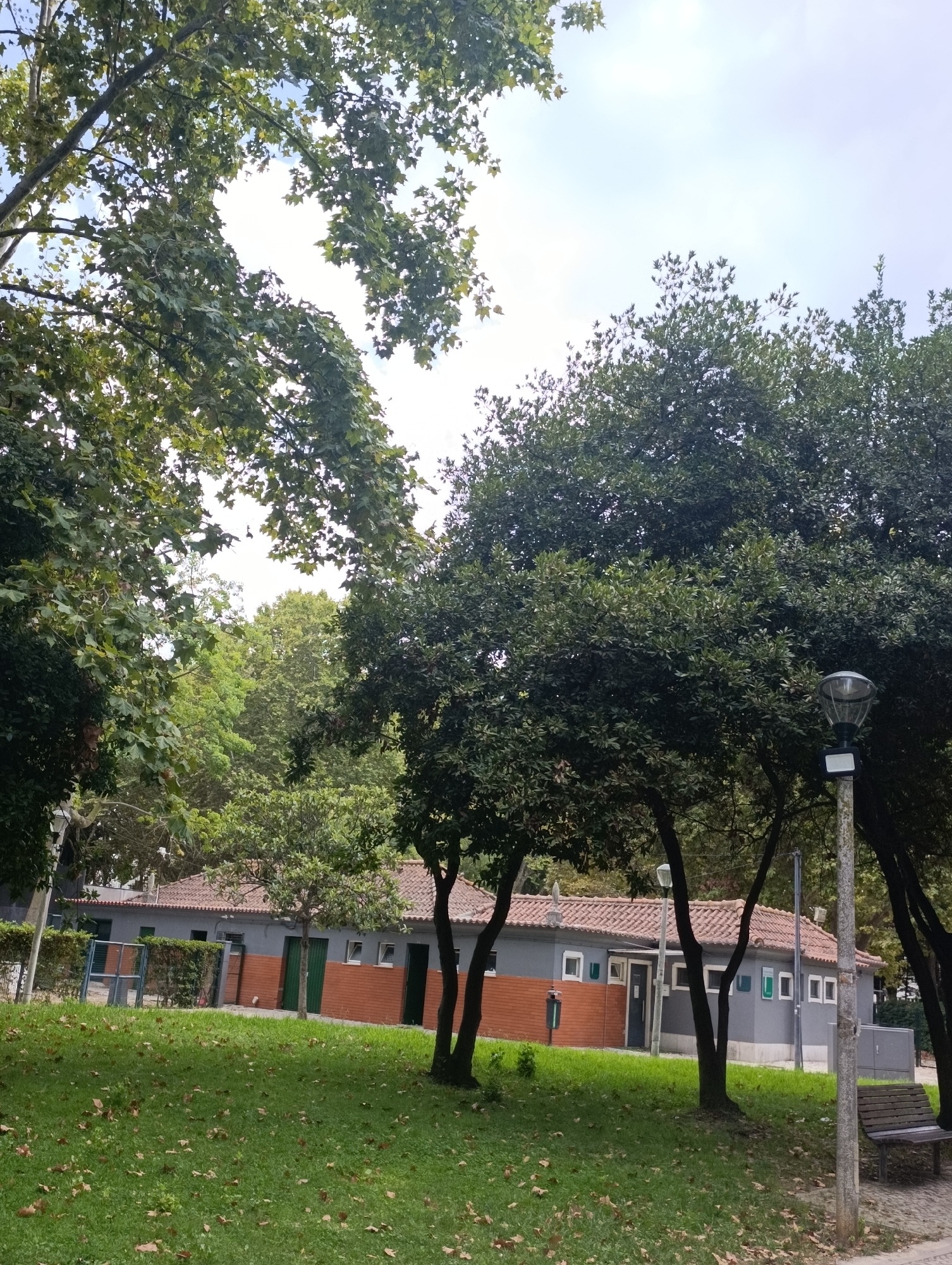 The image depicts a low-rise building with a tiled roof, painted gray with a brick base, situated in a park-like setting. The building has several windows and doors, with green doors visible. A lamppost stands to the right of the building, near a wooden bench. The foreground features a grassy area with scattered fallen leaves. Trees are abundant in the background and frame the scene, with foliage obscuring a portion of the sky, which is overcast. The scene appears to be a public facility, possibly restrooms or changing rooms, located in a green space. Based on the architectural style and vegetation, it is plausible this location is in Setúbal, Portugal, a city known for its parks and public amenities. No people are present in the image.
