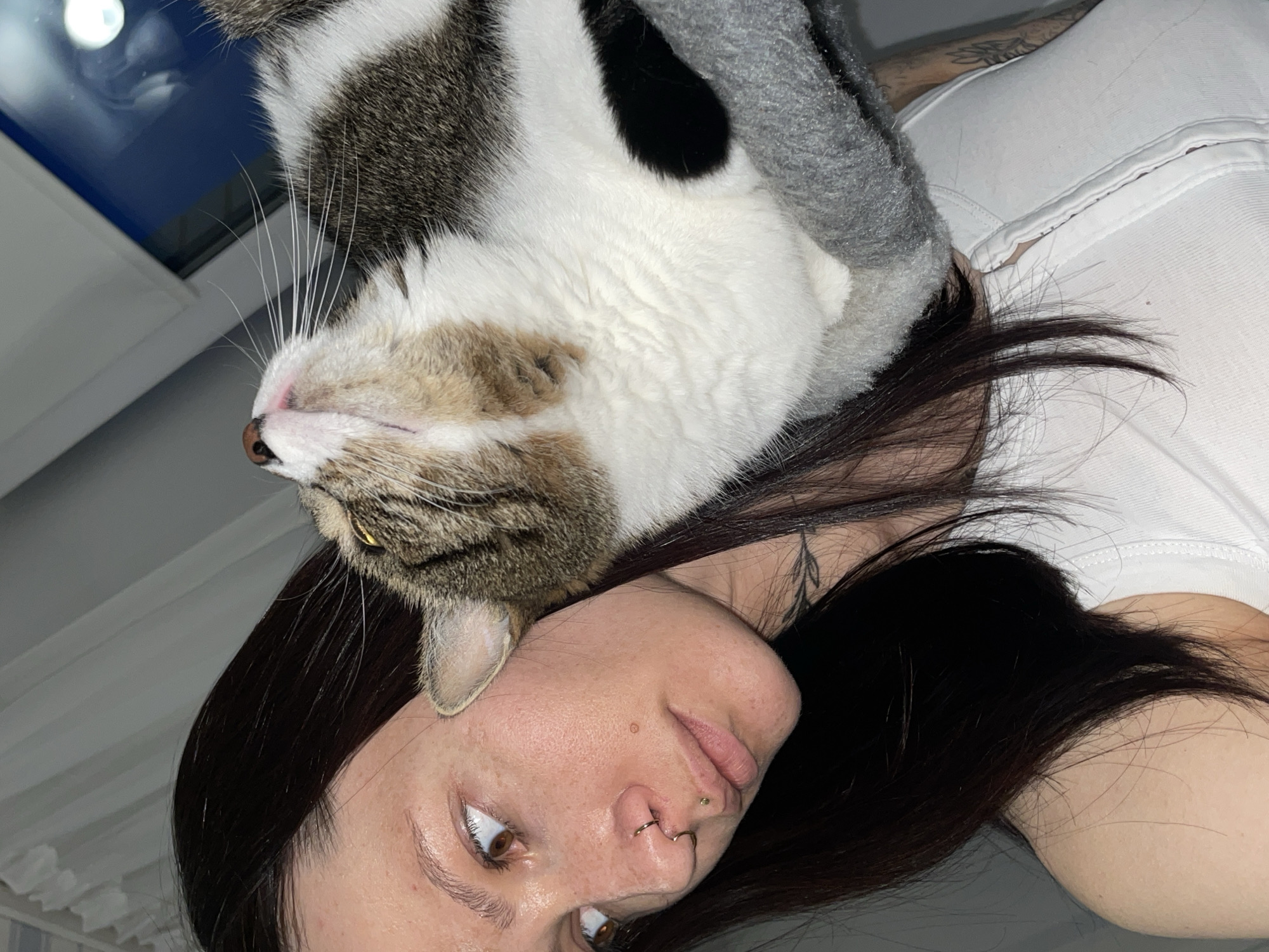 A woman with dark hair is lying on her back with a tabby and white cat lying upside down on top of her. The woman has a nose piercing and is wearing a white shirt. The cat is lying with its head near her face. A gray sweater is visible around the cat. A window is in the background. There is no information to verify that the location is in Izhevsk, Russia.