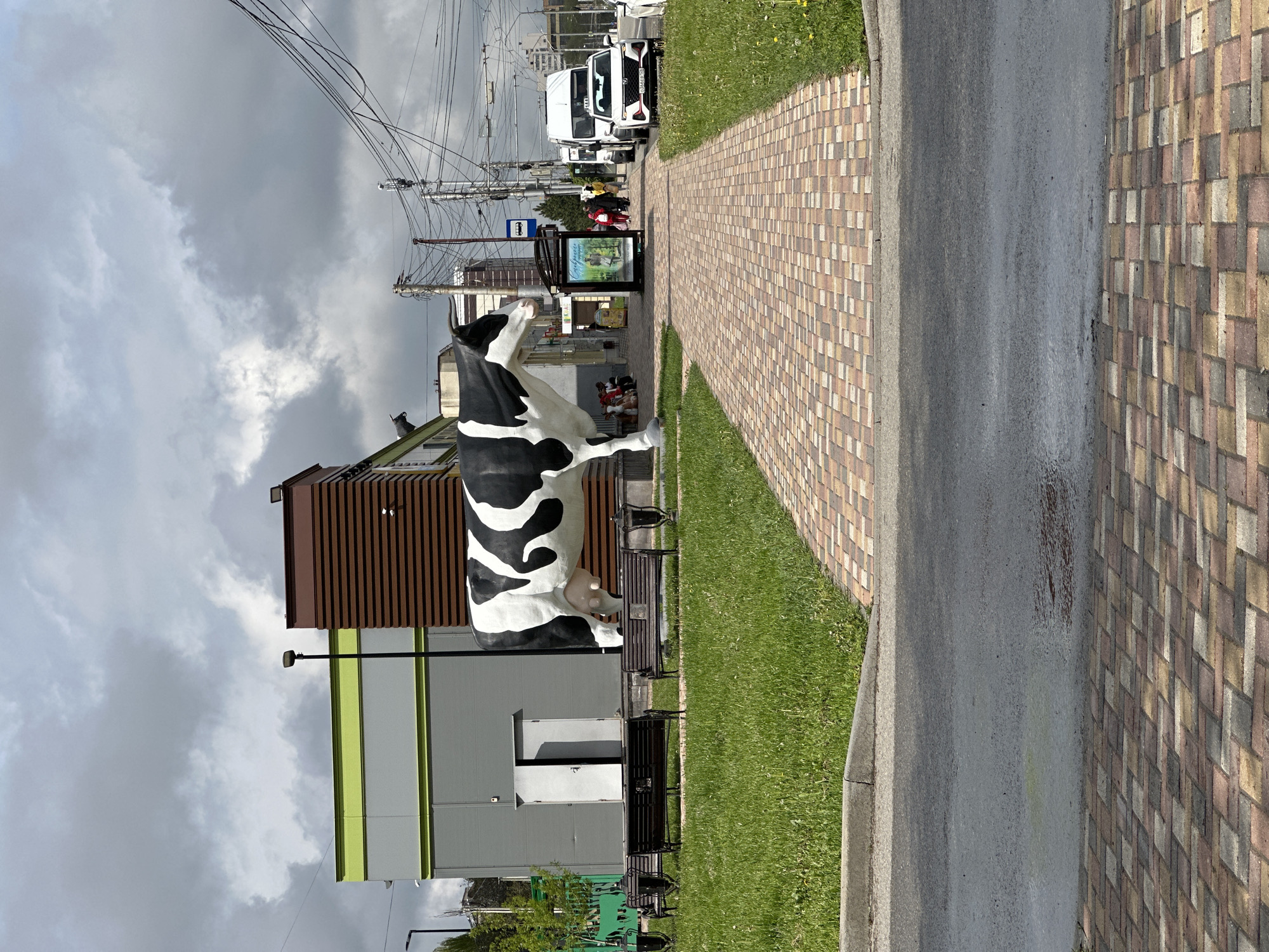 The image shows a street scene in what appears to be the city of Stavropol, Russia. In the foreground, a large, black-and-white cow statue is prominently positioned next to a building with brown horizontal slats and light green and grey siding. Several black metal benches are placed near the cow. In the background, along a brick-paved sidewalk lined with green grass, a bus stop is visible with people waiting. Cars are parked along the street, and overhead power lines crisscross the sky, which is overcast with grey clouds. A portion of a gray asphalt road occupies a significant portion of the foreground.