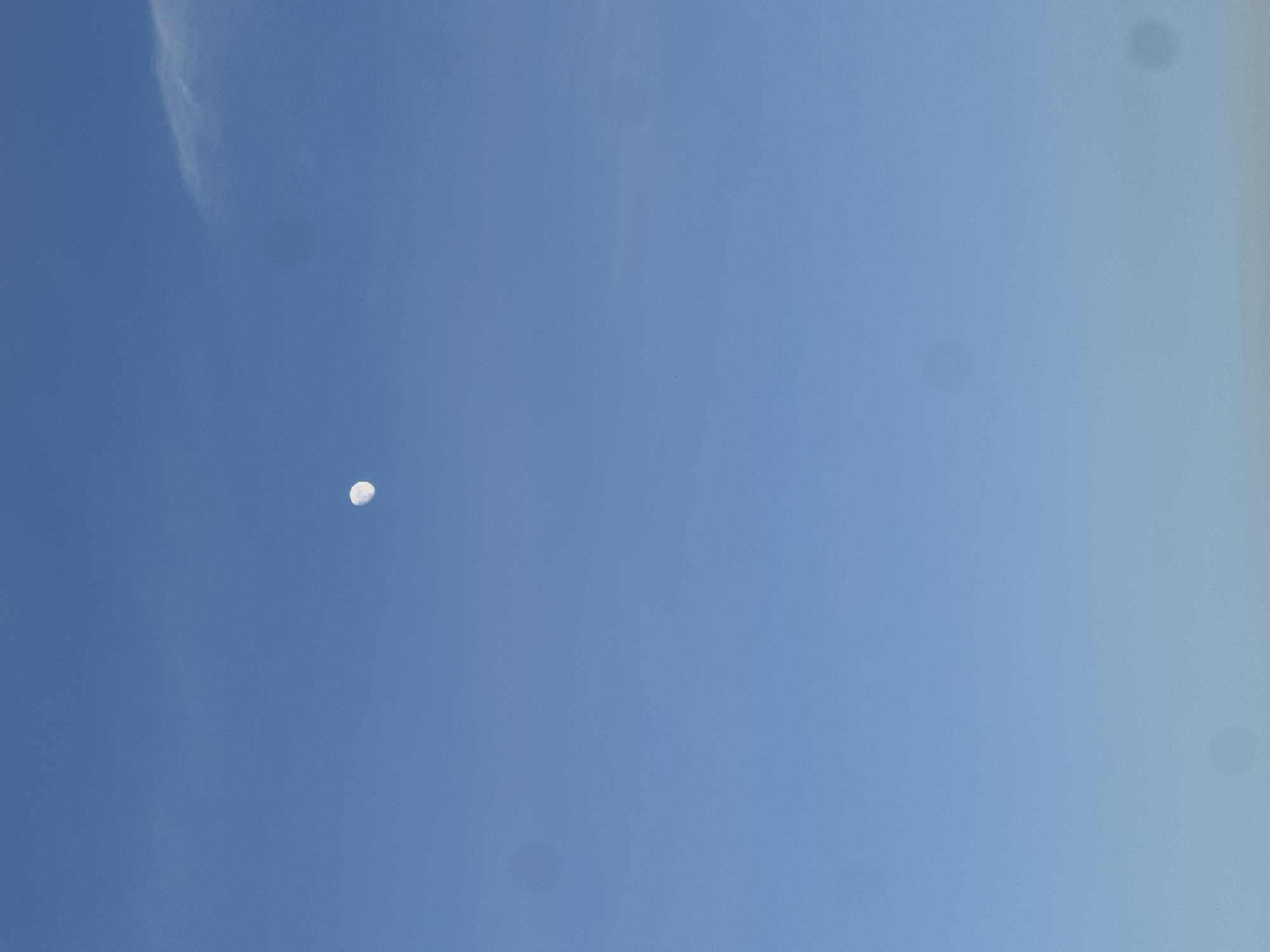 A pale, half-lit moon is visible against a clear, light blue sky. The image appears to be taken during daylight. The location in the city of Khabarovsk, Russia is not visible.