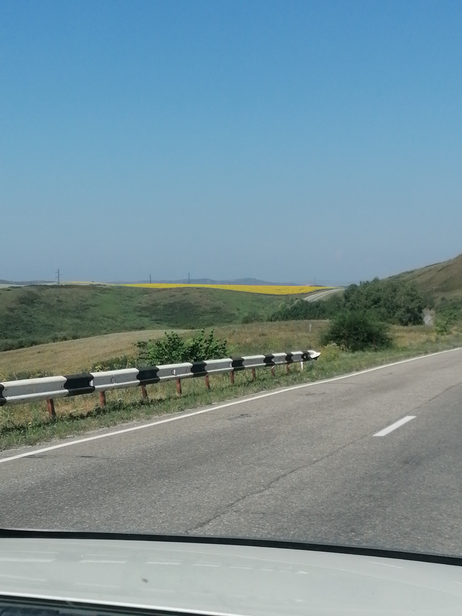 The image captures a roadside view on a clear day. A paved road runs diagonally from the bottom right towards the center left of the frame, bordered by a white and black striped guardrail. Beyond the guardrail, the landscape consists of rolling green hills, some with patches of dry grass. In the distance, a vast field of yellow flowers, likely sunflowers, stretches across the horizon. Two utility poles are visible in the far distance, standing against the pale blue sky. The scene appears to be a rural area, possibly on the outskirts of Severnoe, Kazakhstan, given the presence of agricultural fields. No people are visible in the image.