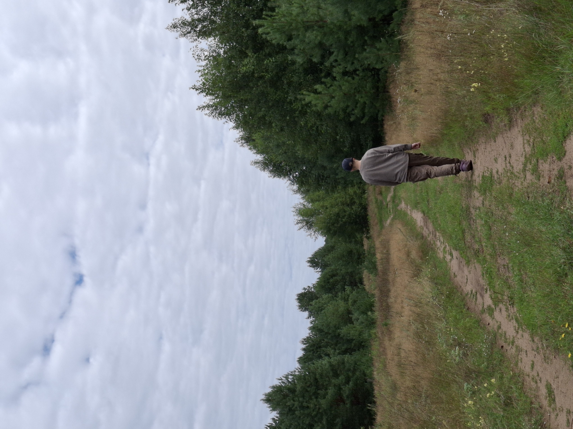A person wearing a grey sweatshirt, brown pants, and a blue baseball cap walks away from the camera on a dirt path through a grassy field. The path curves to the left and leads towards a dense forest of green trees. The sky above is overcast with white clouds. The scene appears to be in a rural or natural setting.