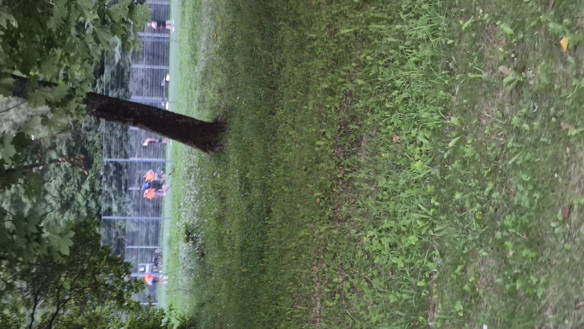 The image depicts an outdoor scene with a fenced area in the background, possibly a sports field. Several individuals, mostly wearing orange vests, are visible within the fenced area, some appearing to be engaged in an activity. A prominent tree trunk stands in the foreground, leaning to the right. The ground is covered in grass and some scattered leaves. The overall impression is that of a park or recreational space. The location is specified as the city of Krauja, Latvia.