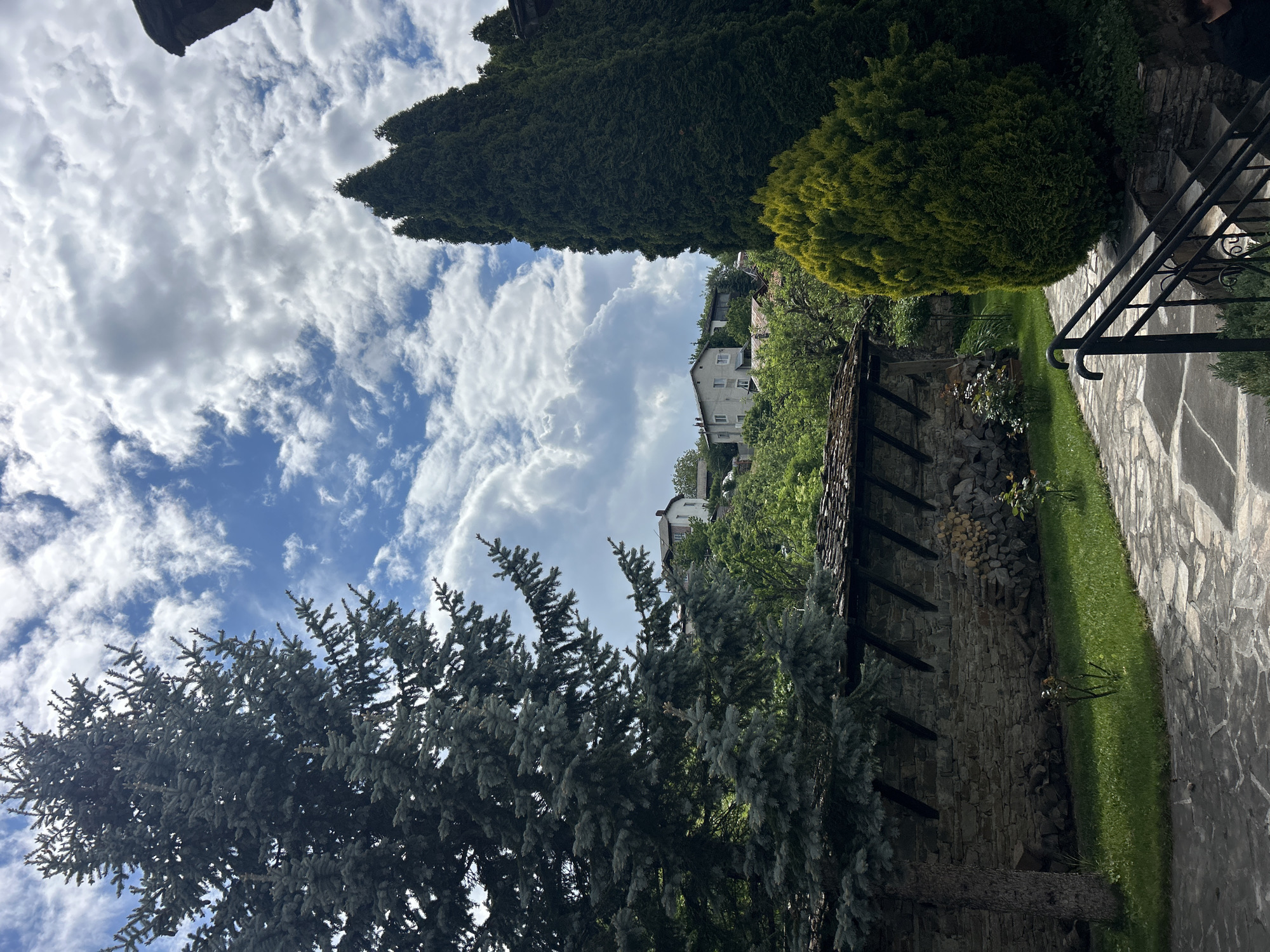 The image depicts a view in the city of Dolen, Bulgaria, characterized by a blend of natural and built elements. The sky is visible above, featuring a blue backdrop interspersed with numerous white clouds. A tall, slender evergreen tree stands in the foreground, its deep green color contrasting with the sky. Adjacent to it is a rounded, shrub-like plant with similar green foliage.
Lower in the frame, a stone wall runs along the mid-ground, possibly marking a property boundary. Wooden beams are embedded within the wall's structure. Houses are situated in the distance on a higher elevation, partially obscured by the surrounding greenery. A stone path and a narrow strip of green grass runs beside the wall. A black metal railing is also visible. The color palette is dominated by shades of green and brown from the trees and stonework, complemented by the blue and white of the sky.