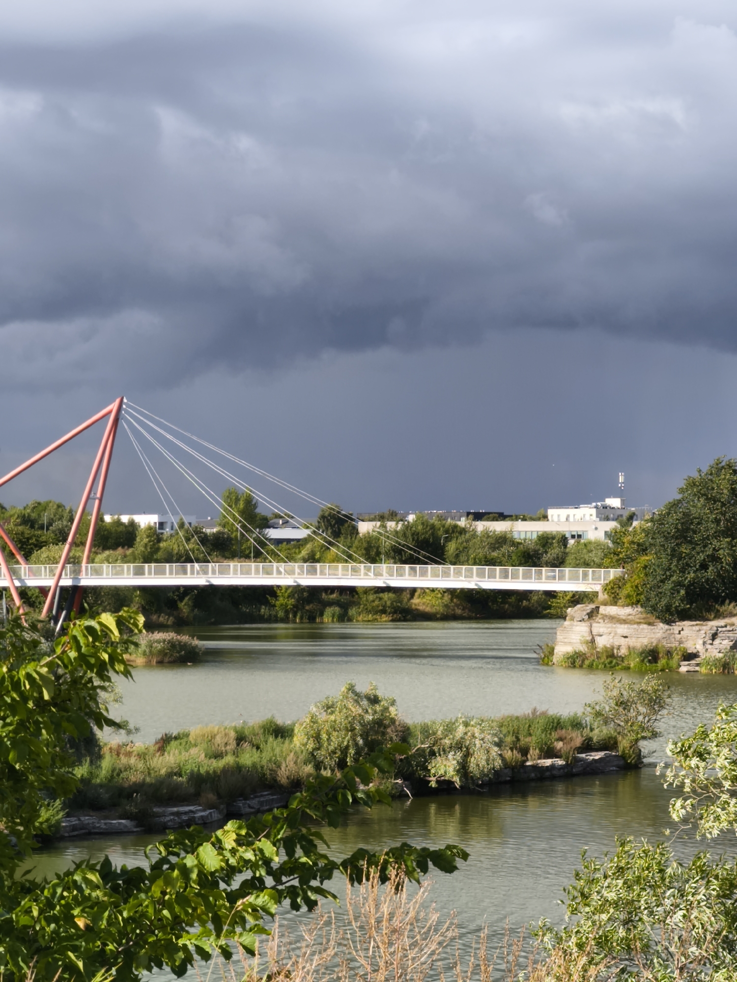 A wide shot shows a modern suspension bridge with a red pylon stretching across a calm body of water under a dramatic, dark gray, stormy sky. The bridge has a white walkway supported by numerous thin cables. The water reflects the muted sky and the greenery. On the far bank, a line of lush green trees and bushes obscures some low-rise buildings. One building on the far right of the scene has a tall, narrow structure with lights on top, possibly a communication tower. The foreground is dominated by the dark green leaves of trees and some dry grasses. The scene appears to be a park or a recreational area within a city, likely in Tallinn, Estonia, given the architectural style and the presence of both natural and urban elements. No people are visible in the image.