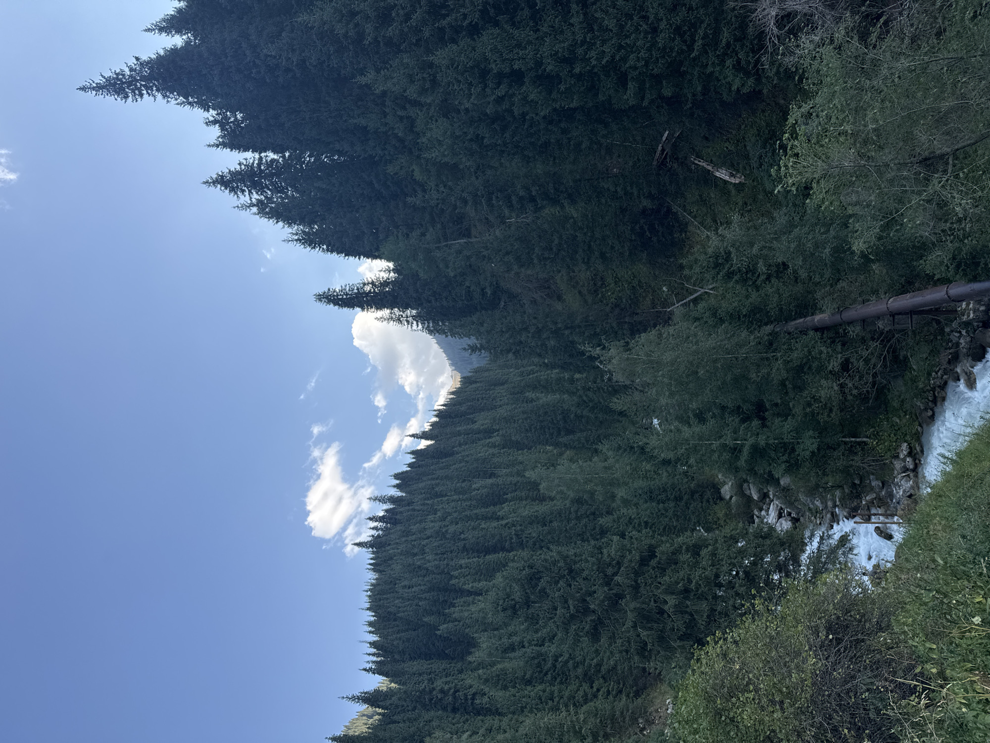 The image depicts a natural mountain landscape, likely in the vicinity of Almaty, Kazakhstan, given the presence of coniferous forests characteristic of the Trans-Ili Alatau range. A winding river flows through a valley, flanked by steep, densely forested slopes. The trees are predominantly dark green conifers, suggesting a high altitude. The sky is partly cloudy, with patches of blue visible, indicating daylight. In the foreground, there is lush green vegetation, and a section of a dark, metallic pipe is visible on the right side of the river. The scene is serene and untouched, conveying a sense of wilderness. There are no people or animals present in the image. The lighting suggests it is daytime, possibly late afternoon, given the shadows cast by the trees and the angle of the sunlight.