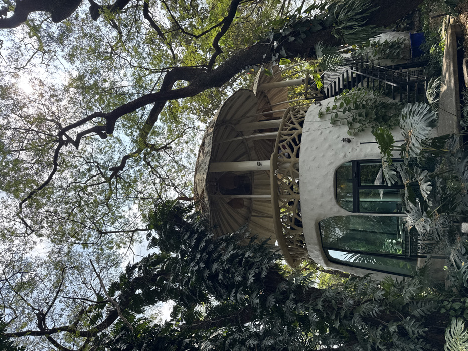 A whimsical, white, multi-story dwelling is nestled within lush greenery and towering trees. The structure boasts rounded windows, textured walls, and a spiral staircase leading to the upper levels. Tree branches extend over the house, partially obscuring it, while large-leafed plants surround the base. Sunlight filters through the foliage, creating dappled shadows. The overall scene is enchanting and unique, blurring the lines between architecture and nature.