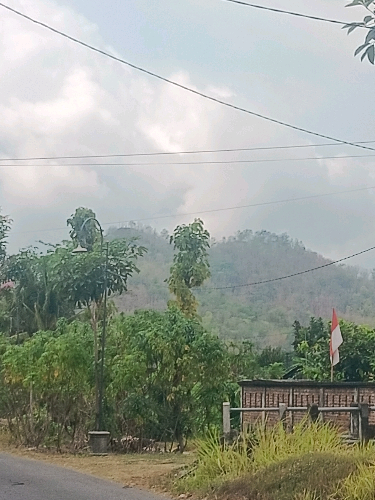 This image depicts a rural roadside scene in Trenggalek, Indonesia, under a cloudy sky. In the foreground, a paved road runs along the left side of the frame. The right side of the road is lined with a low brick wall with decorative vertical elements, partially obscured by tall, green grass and other vegetation. A flagpole with a red and white Indonesian flag stands behind the wall.
Behind the wall and roadside vegetation, a dense collection of trees and foliage is visible, forming a natural backdrop. Further in the distance, a large, sparsely vegetated hill or mountain rises under a hazy sky. A solitary street lamp with a curved arm stands amongst the trees in the mid-ground. Power lines are strung across the upper portion of the image. There are no people or animals visible in the scene. The overall impression is one of a quiet, undeveloped area.