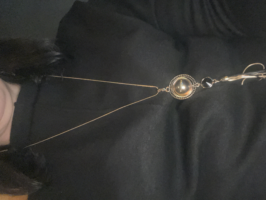 A gold necklace with a circular pendant and a small black gemstone is draped over a black garment, possibly a coat or dress. The necklace's chain is thin and delicate. The garment's texture is smooth and dark, providing a stark contrast to the jewelry. Some fur or feathers are visible on the left side of the image, also attached to the garment.