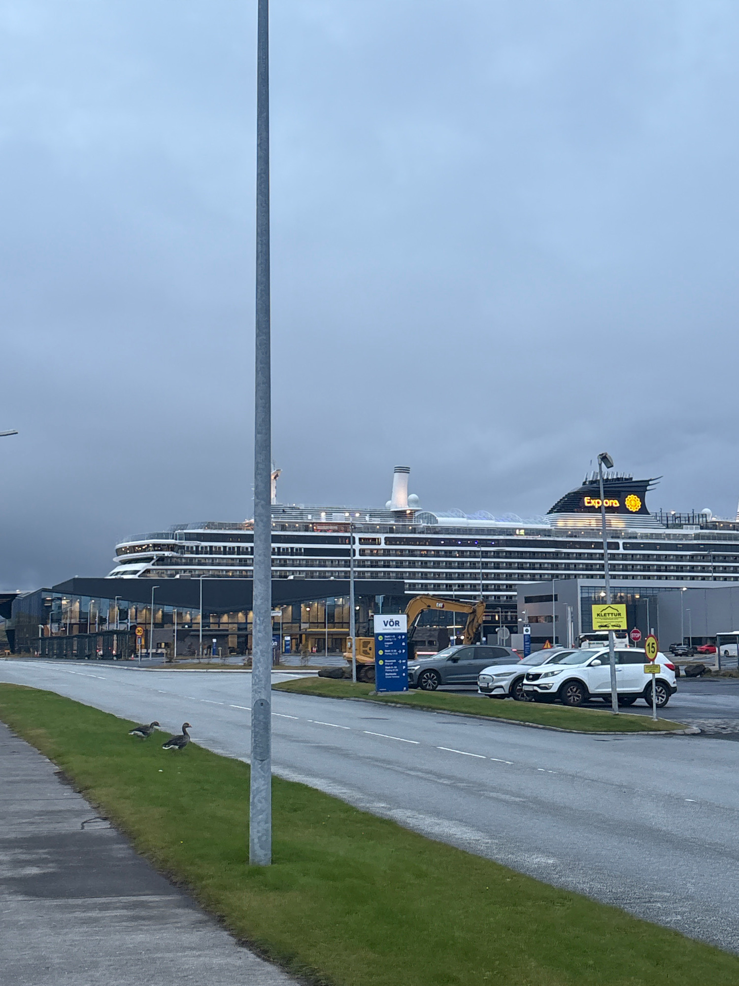 This is a wide-angle, eye-level, outdoor, daytime photograph taken in Reykjavik, Iceland. The image depicts a large cruise ship docked at a terminal building. The cruise ship, named "Explora", has "Explora" written in large yellow letters on its funnel, with a circular yellow logo above it. The ship is white with dark horizontal bands and numerous illuminated windows. It is docked alongside a modern terminal building with a dark-colored, angled roof and large glass windows.
In front of the terminal, there are several parked cars, including a white SUV, a dark grey SUV, and another white SUV. A yellow excavator is visible next to the terminal building. A tall, grey metal pole stands prominently in the foreground, slightly off-center to the left.
To the left of the road, a grassy area is visible with two grey geese standing on it. A paved sidewalk runs along the edge of the grassy area. The sky is overcast and a dull grey. The scene appears to be a port or harbor area. The presence of the cruise ship suggests it is a tourist location.