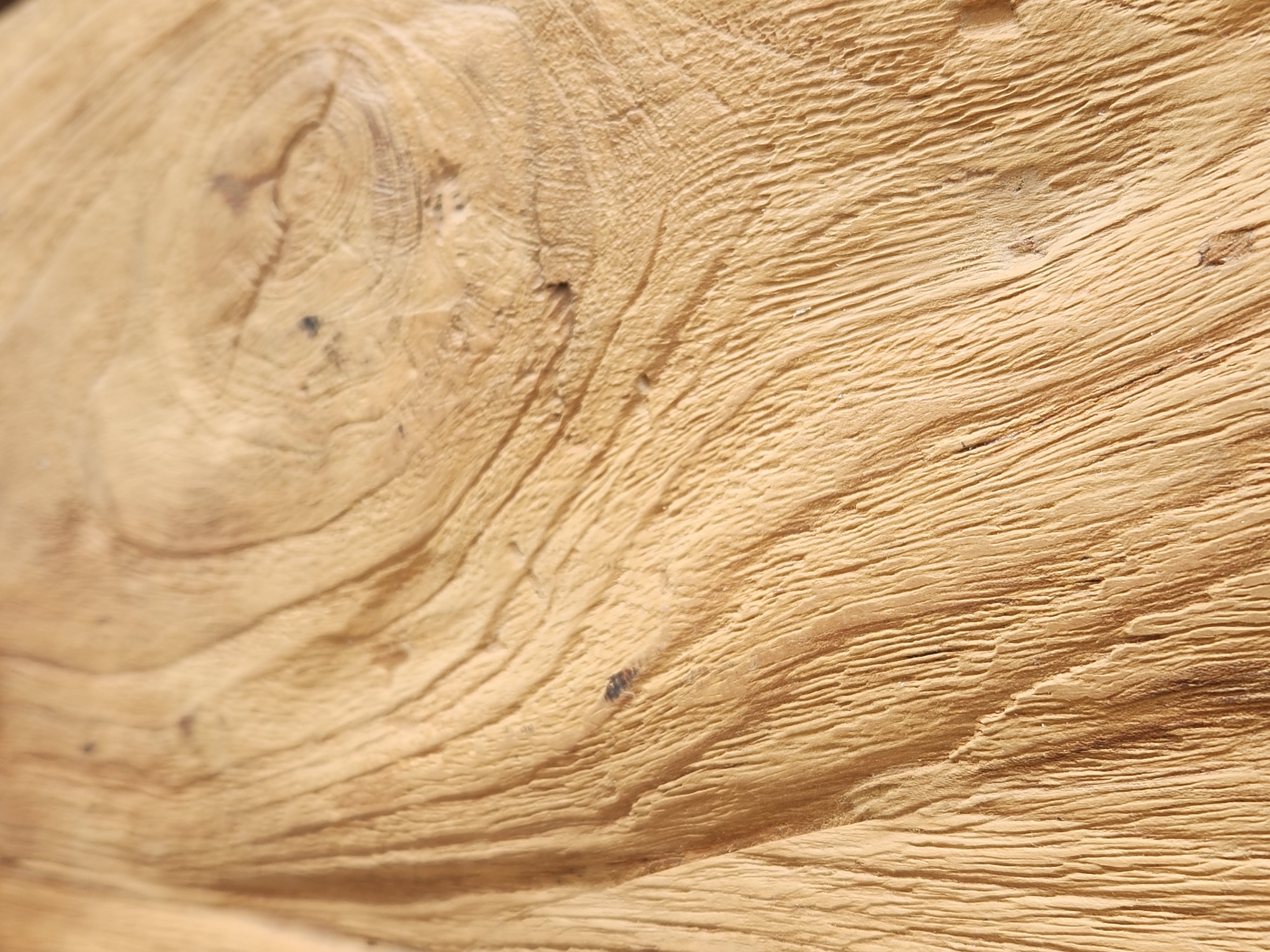 The image is a close-up, abstract shot of weathered, light brown wood grain. There are no people, objects, or discernible scenes. The focus is entirely on the texture and patterns of the wood. The grain exhibits prominent, wavy lines and swirls, suggesting the natural growth rings of a tree. In some areas, the wood appears rough and splintered, while other sections are smoother. There are a few small, dark specks visible on the surface, possibly knots or embedded debris. The lighting is even, with no strong shadows, indicating it might be an overcast day or indoor lighting. No text is visible. The location context of Maitland, USA, does not provide specific visual cues within the image itself.