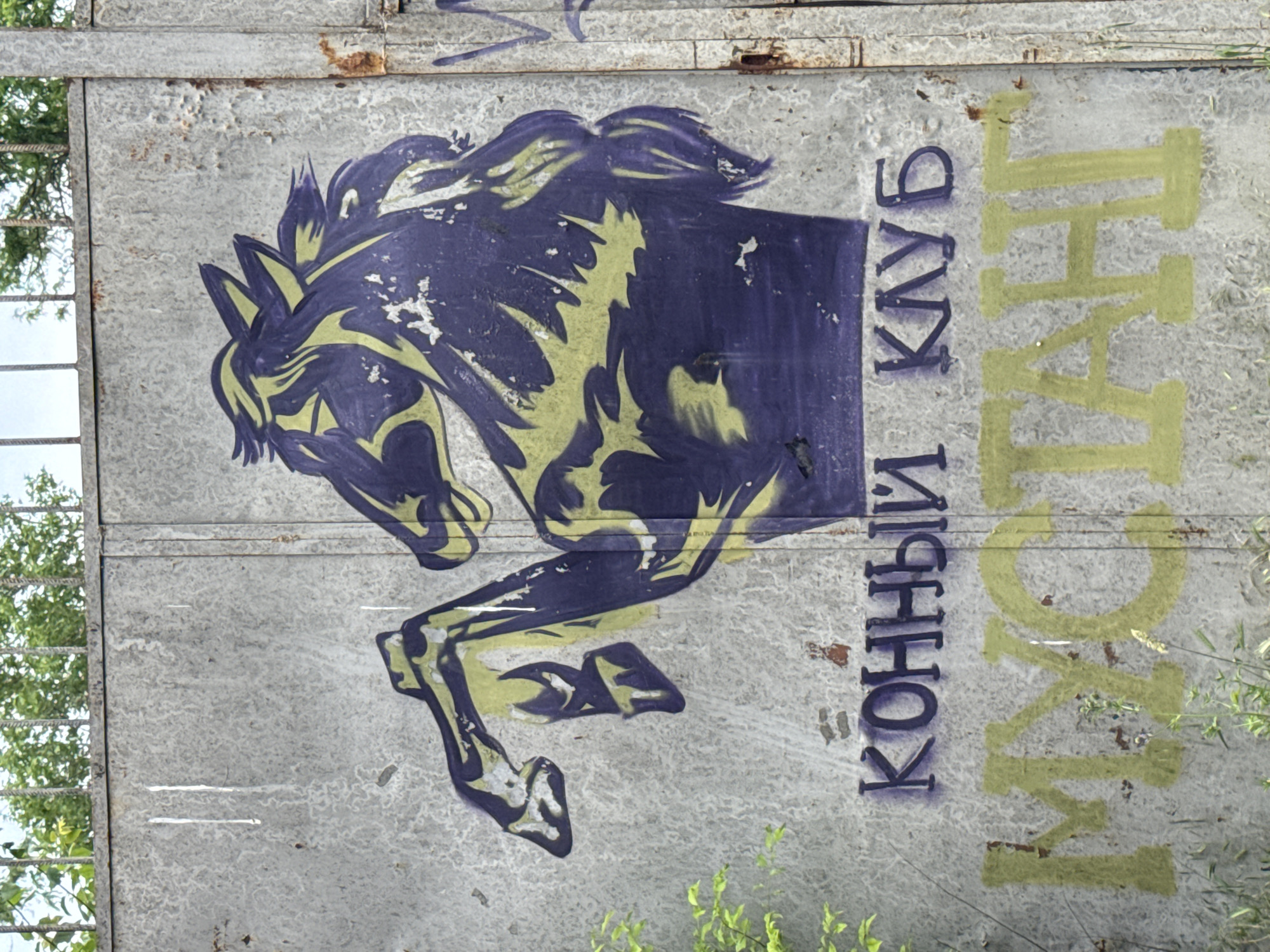 A weathered metal gate or wall in Odesa, Ukraine, displays a two-tone stencil graffiti of a horse and Cyrillic text. The central subject is a stylized horse depicted in a dynamic, possibly rearing pose, facing left. The horse's head and raised front legs are rendered in a dark purplish-blue, with contrasting yellowish-green highlights delineating its mane, musculature, and outline. Below the horse, two lines of graffiti text are present. The upper line, in purplish-blue, reads "КОННЫЙ КЛУБ" (Horse Club). The lower line, in solid yellowish-green, reads "МУСТАНГ" (Mustang). The metal surface is heavily textured, exhibiting corrosion, rust spots, and light-colored streaks, indicative of age and exposure. A vertical seam runs along the right side of the metal panel. Above the panel, a dark, twisted metal fence or railing is visible against a bright sky and lush green foliage. Additional green vegetation is present at the lower left foreground, partially obscuring the base of the metal surface. No people are visible.