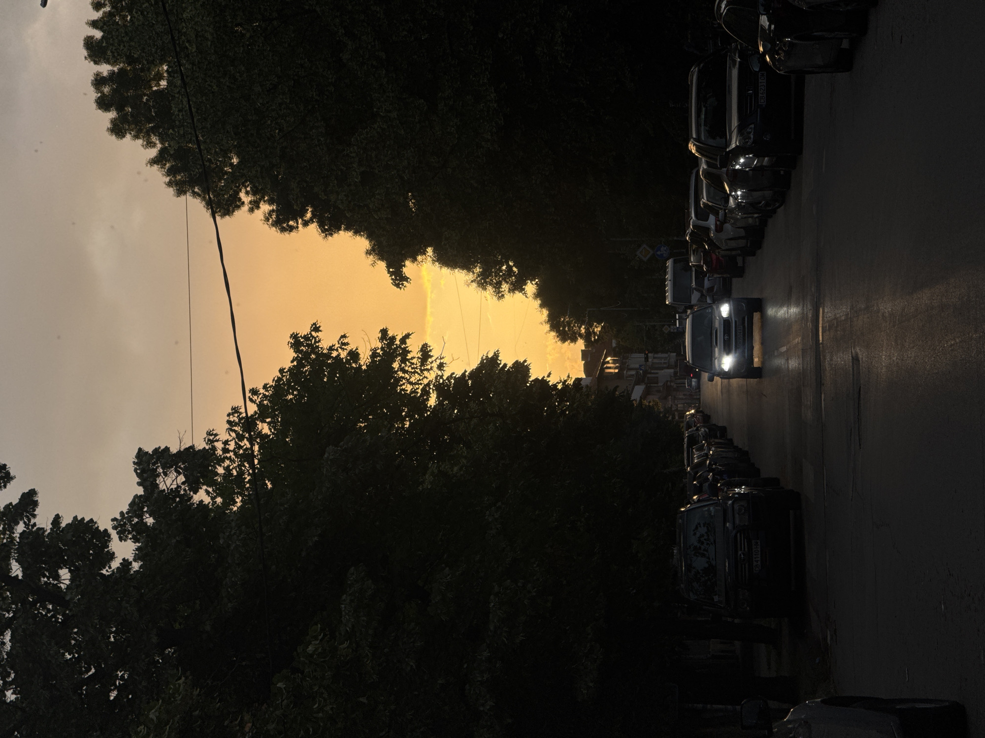 This is a vertical, slightly low-angle photograph taken at dusk on a street in Sofia, Bulgaria. The sky is a dramatic gradient of pale gray at the top, transitioning to a vibrant golden-orange near the horizon, indicating the setting sun. Thick, dark green foliage from trees lines both sides of the street, creating a natural canopy that frames the sky.
A line of cars is parked along the right side of the street, with their headlights on, reflecting on the wet asphalt, suggesting recent rain or a damp evening. The first car in the line, a light-colored van, has its headlights brightly illuminated. Several other cars are visible, mostly dark in color, with their forms softened by the low light.
The scene evokes a sense of quiet and transition as day turns to night. The warm glow of the sunset creates a slightly ethereal atmosphere, contrasting with the sharp, man-made lines of the vehicles and the dark, dense foliage. There are no people visible in the frame. Traffic signs are present on the right side of the street, one circular sign with a red border and a white inner diagonal bar, and another smaller square sign below it. One license plate is partially visible on a dark SUV: "CB 4118 HM."