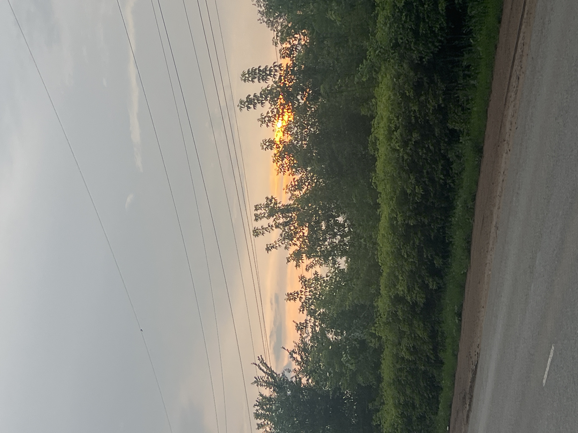 The image shows a rural road in Buzuluk, Russia, at dusk. The sun is setting behind a thick line of trees, casting a warm, orange glow across the sky. Power lines stretch across the frame, silhouetted against the colorful sky. The road is paved and appears to be a two-lane road with a white line marking the center. The trees on the side of the road are dense and lush, with various shades of green foliage. The overall mood of the image is peaceful and serene, evoking a sense of quiet beauty in nature. The time of day is clearly indicated by the sunset. There are no people or specific objects of interest visible, making it a landscape-focused image. The weather appears to be clear, with the clouds allowing the sunset colors to shine through. No text is visible in the image.