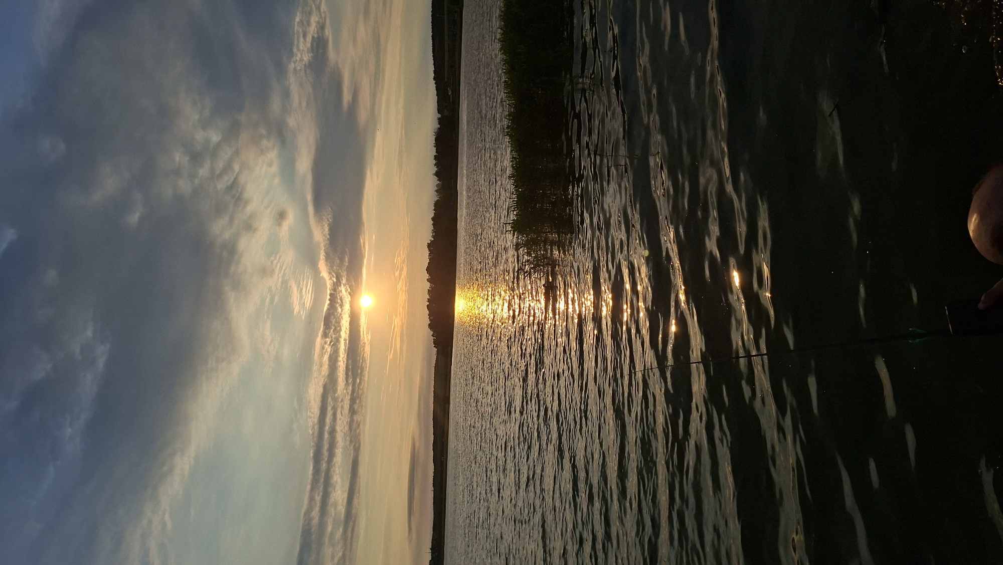 A serene sunset scene unfolds over a calm lake. The sun, a vibrant orb, casts a golden glow across the sky, illuminating wispy clouds in hues of orange and grey. The water's surface ripples gently, reflecting the warm light in a shimmering path. Along the far shore, a dense line of trees forms a dark silhouette against the horizon, with hints of rolling hills beyond. In the foreground, tall reeds stand clustered on the right side of the frame, adding a touch of natural detail to the waterscape. A fishing rod extends from the lower right corner, angled into the water, suggesting someone is engaged in fishing. The lower part of the image is dominated by the dark water and the hand of a person holding a mobile phone, possibly taking this photograph. The overall atmosphere is peaceful and tranquil, capturing the beauty of a lakeside evening in Smalyavichy, Belarus.