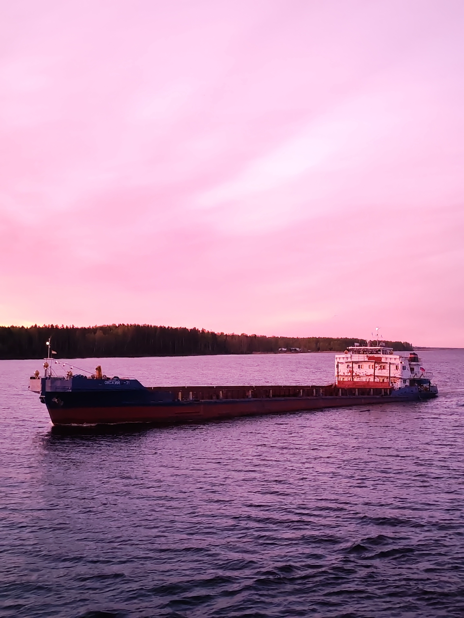 The image depicts a long cargo ship sailing on a body of water, likely a river or lake. The ship is dark in color with a red horizontal stripe along its hull and a white superstructure at its rear. The ship's name, "Okskiy -71", is visible on the bow. A line of trees is discernible along the distant shoreline. The sky is a prominent feature, filled with pink hues characteristic of sunset or sunrise. The water reflects the pink tones of the sky, creating a monochromatic color scheme dominated by pink and purple. The location is consistent with the landscape of Vasil'evskoe, Russia.